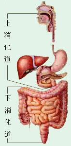 知乎 知乎日报