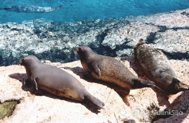 北欧四国哪个国家最美?