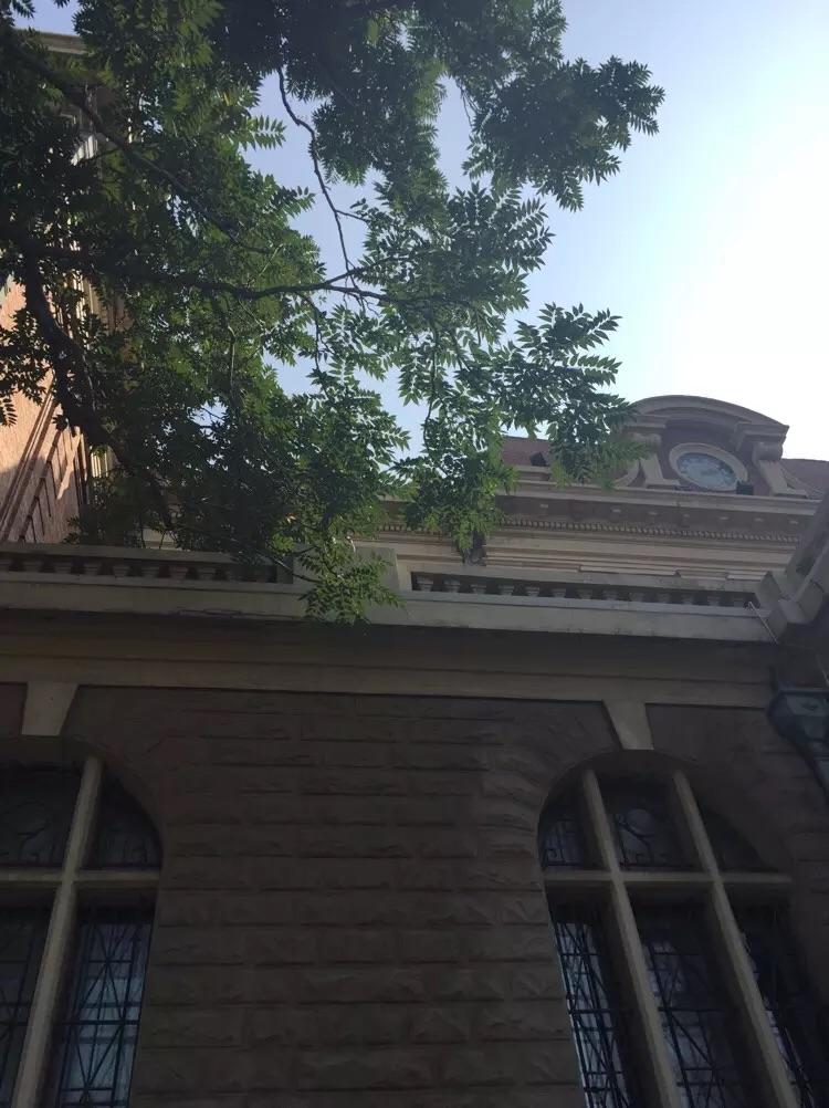 在天津外国语大学上学是一番怎样的体验? - 大