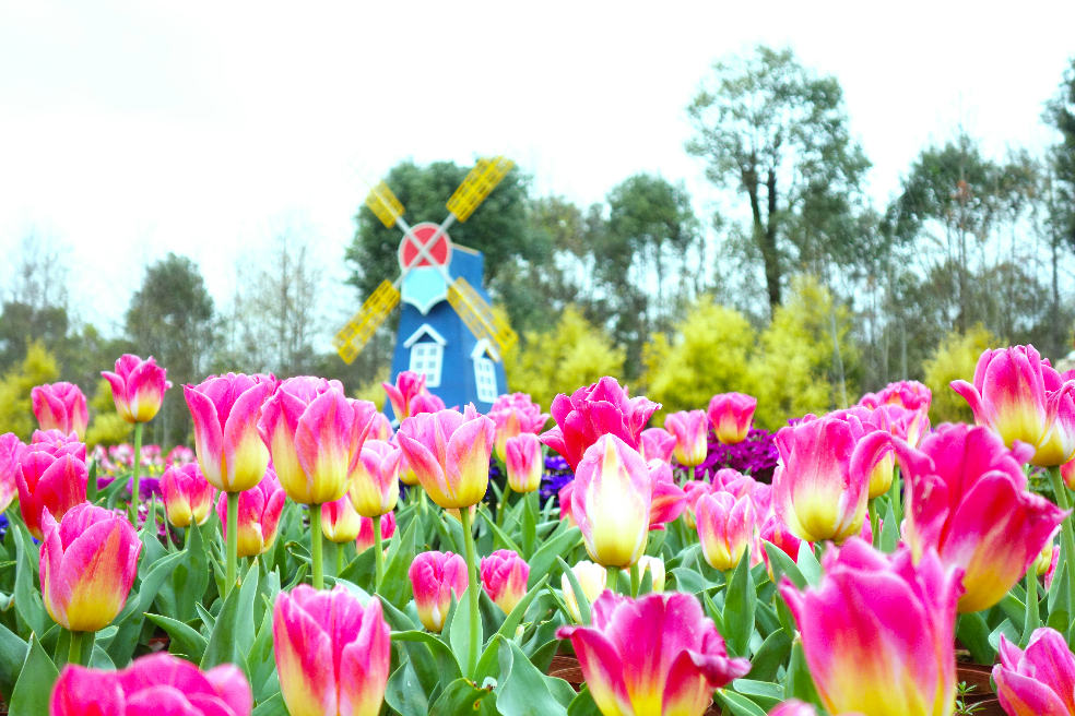 28mm镜头能拍出什么样的照片? - 乌拉米拉的