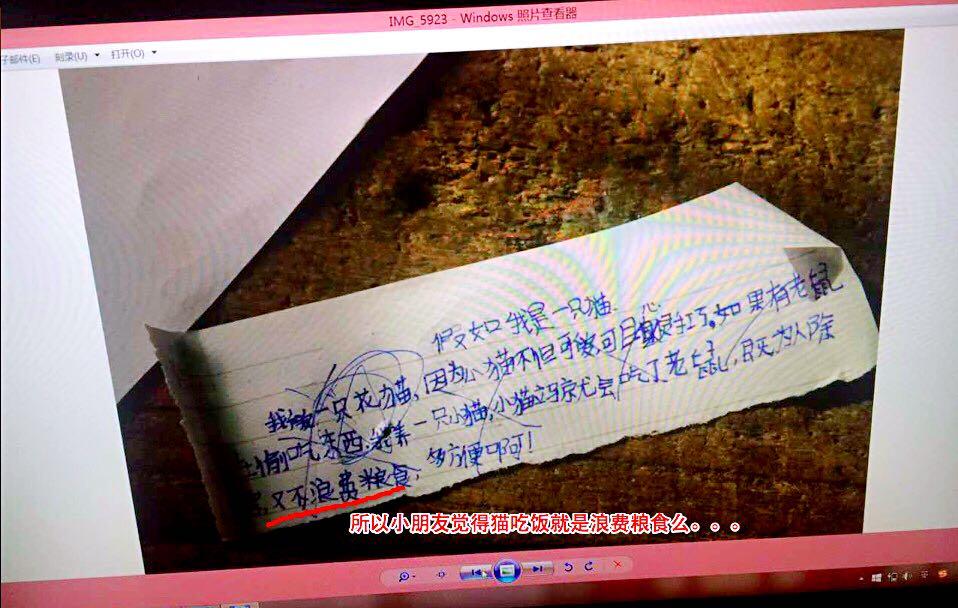 www.shanpow.com_j鲸落阅读答案。