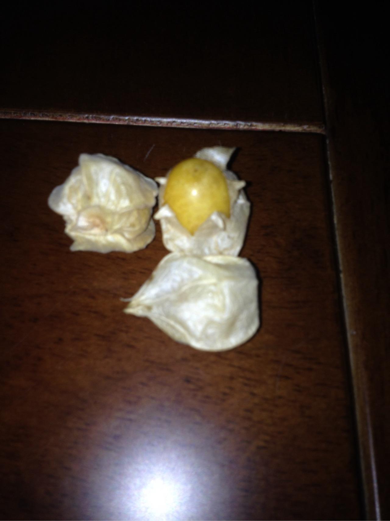 这个水果是什么啊? - 黄文鑫的回答