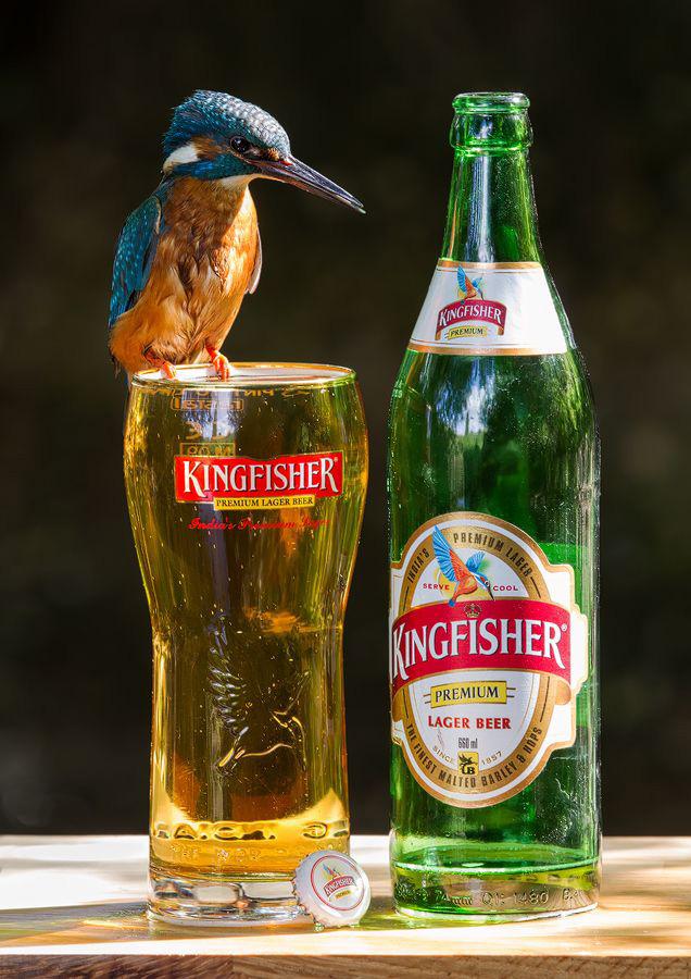 印度——翠鸟kingfisher日本——朝日asahi老挝——老挝啤酒beerlao