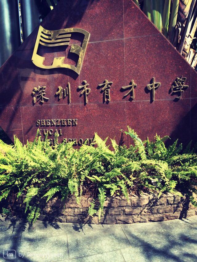 在深圳育才中学就读是怎样一种体验?