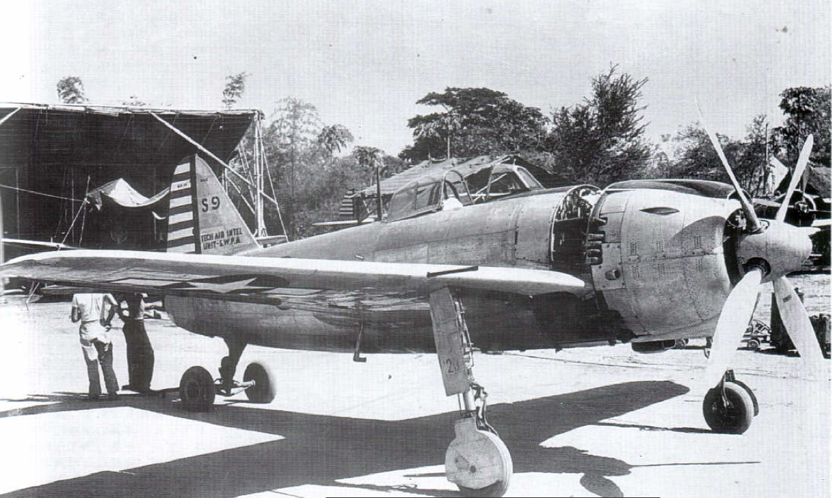 太平洋战争期间日本海军航空队局地战斗机的涂