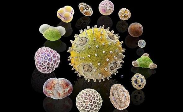 电子显微镜所看到的微观世界.