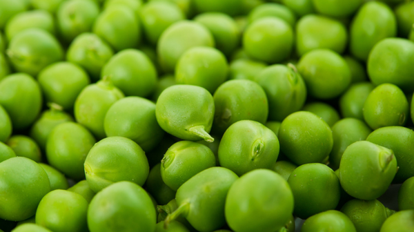 最佳食品 豌豆 豌豆尖 豌豆荚 知乎