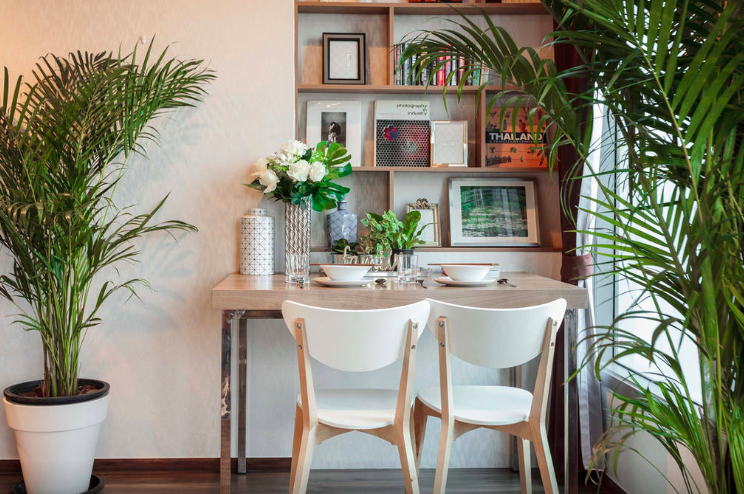 第一次出国游先去哪个国家比较好?英语交流有