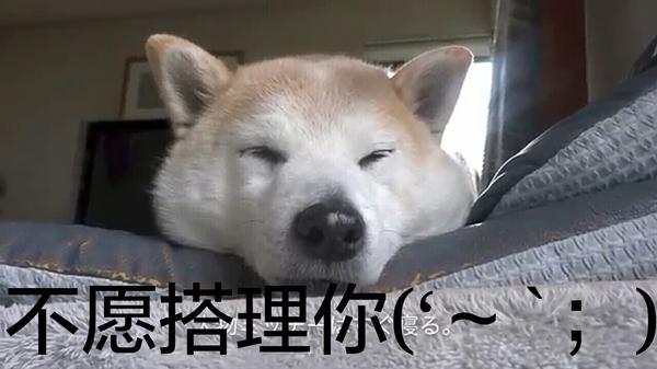 其次,doge能耍贱!