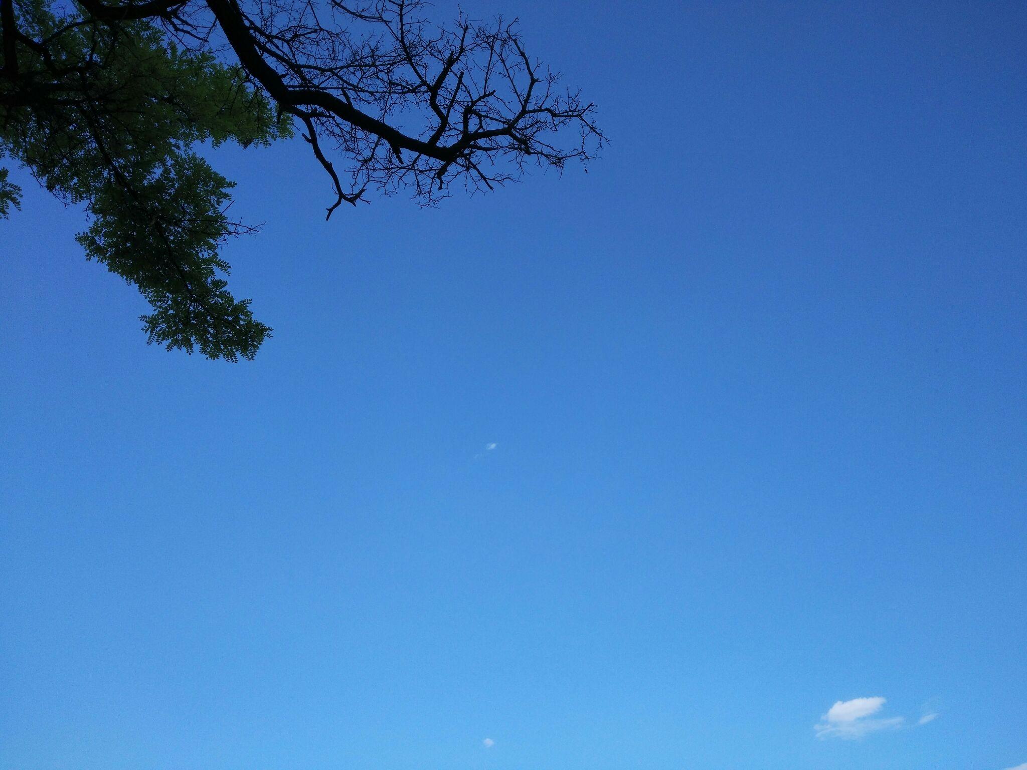 怎么迅速找到小而美的微信公众号? - Amethys