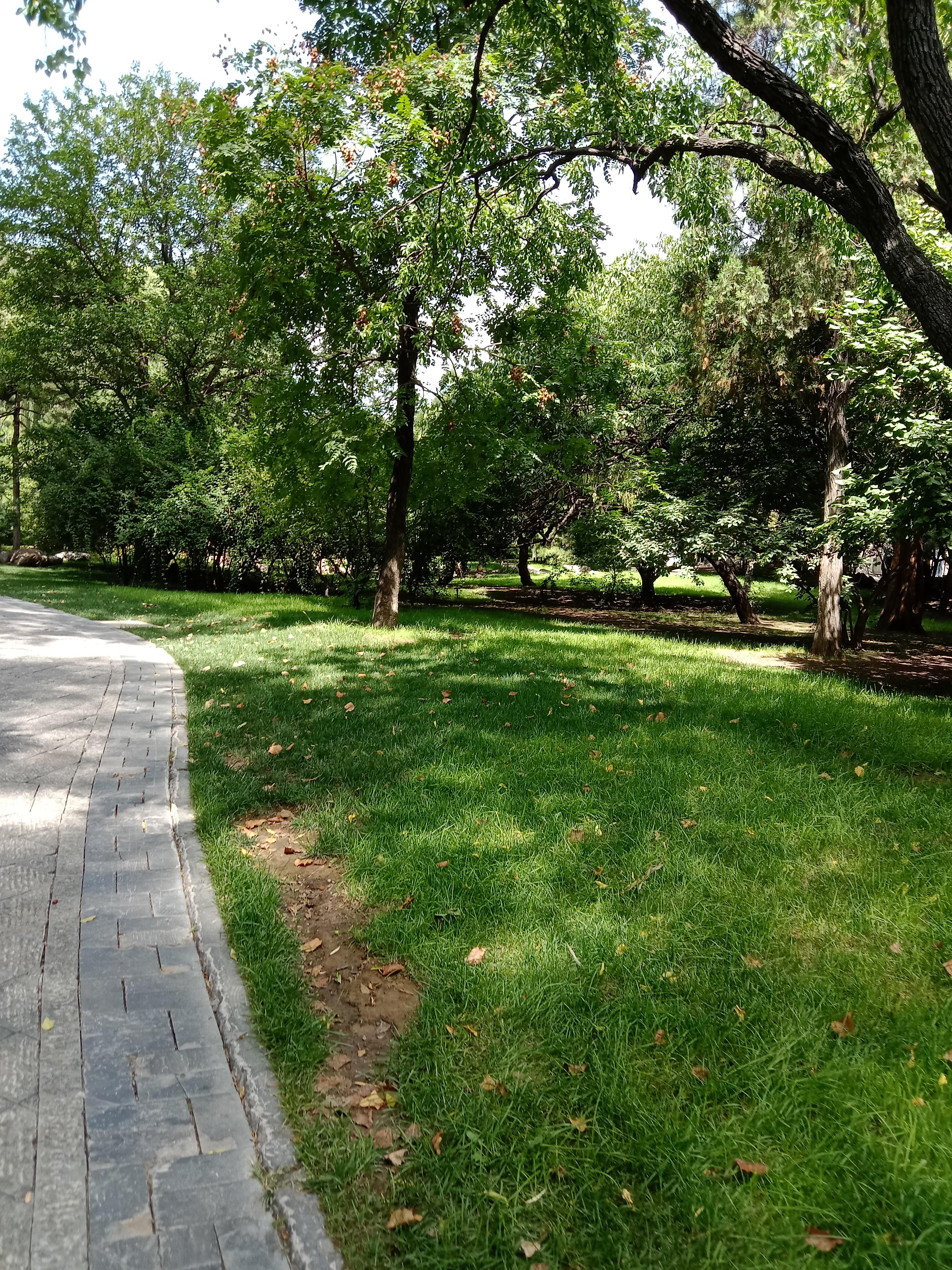 快乐元 的想法: 火辣辣的夏天 | 夏天悄悄来到,室内温度22°,室外30