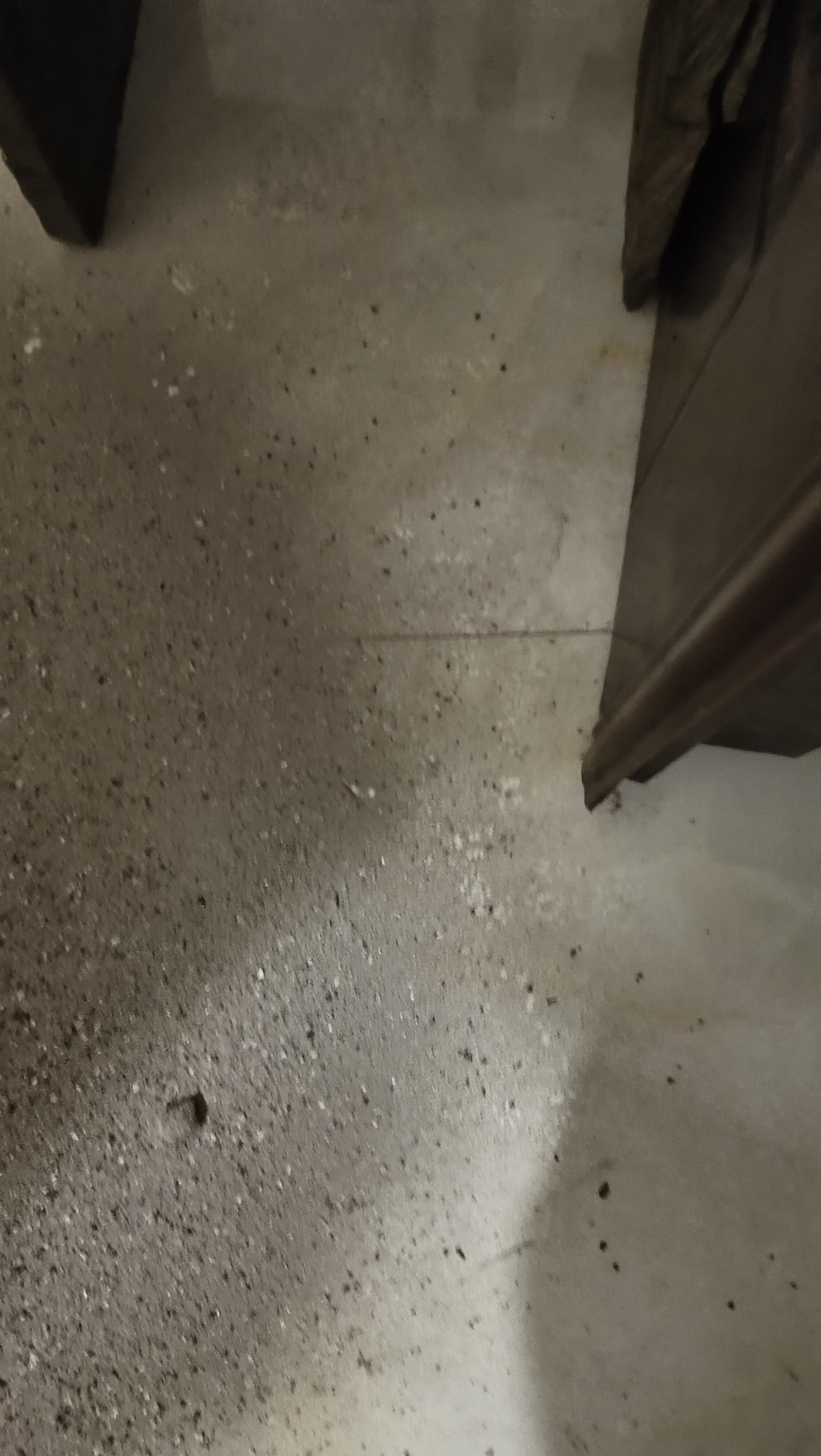 明月清风 的想法: 头七回魂脚印