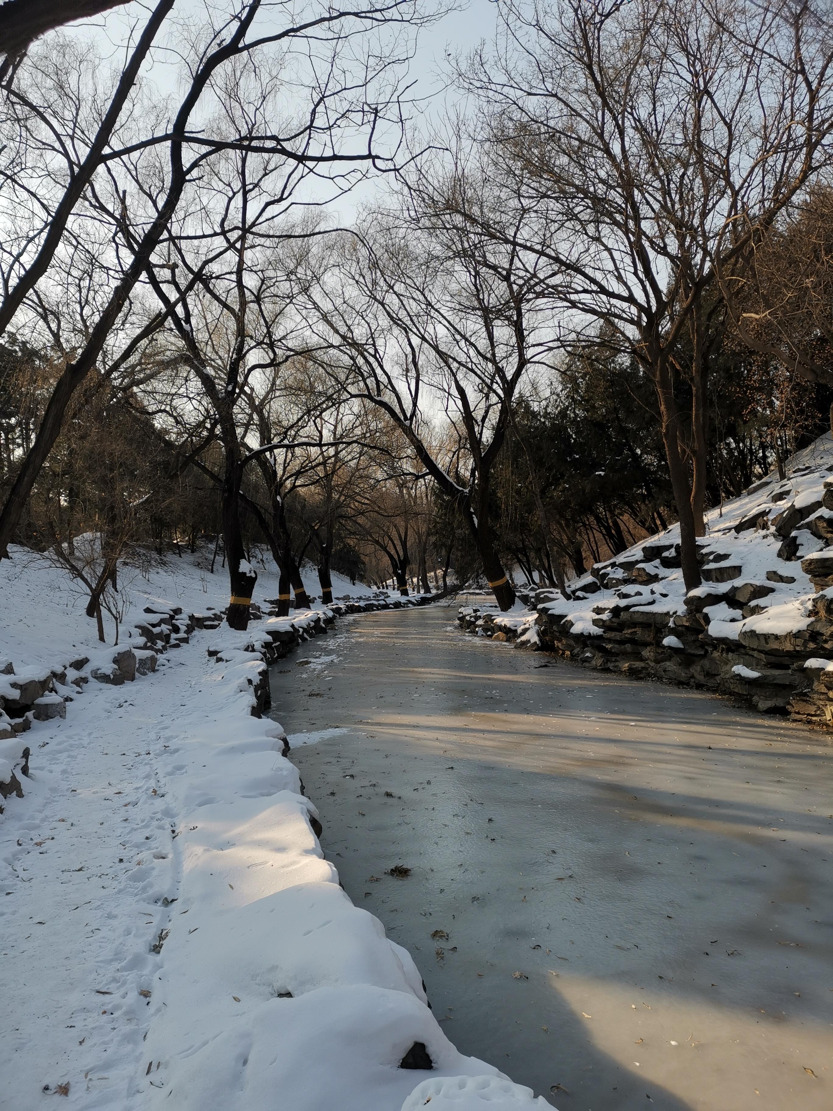 动如脱too 的想法  经济的寒冬 楼市的寒冬 圆明园的寒冬