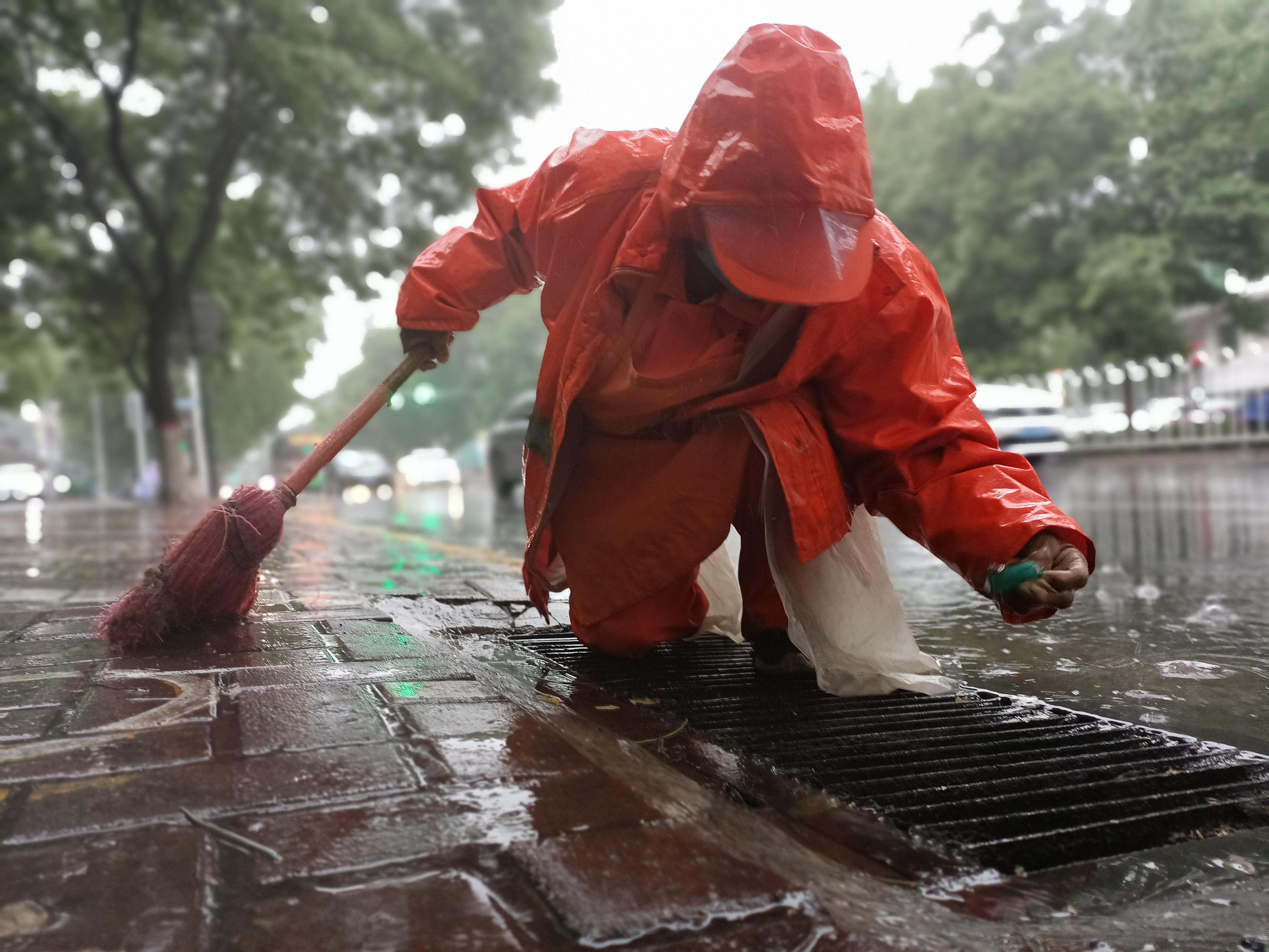 雅爱家工作室 的想法: 294名应届本科生报名掏大粪