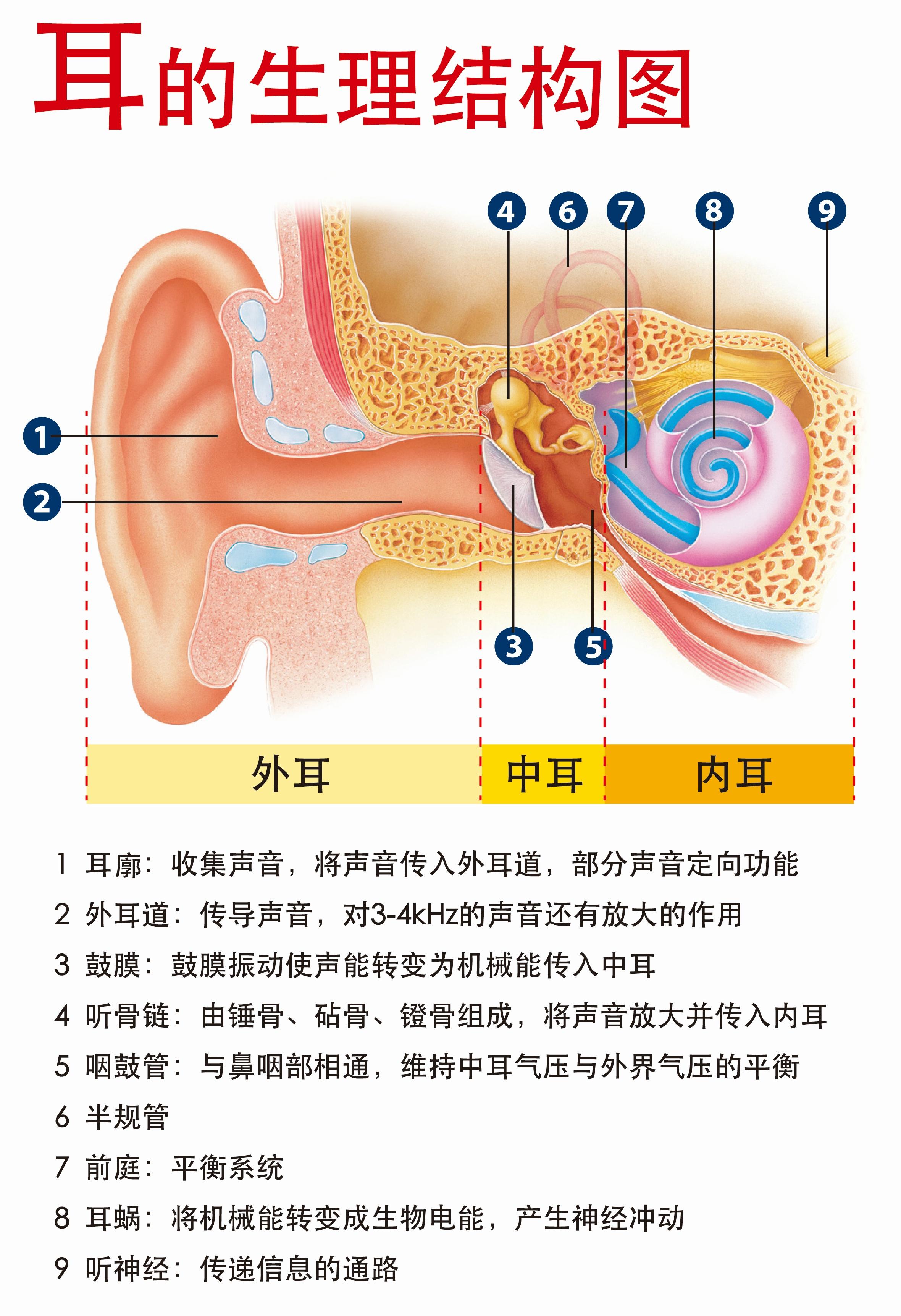 平衡感和听力有关吗良好的平衡感主要依赖于视觉系统