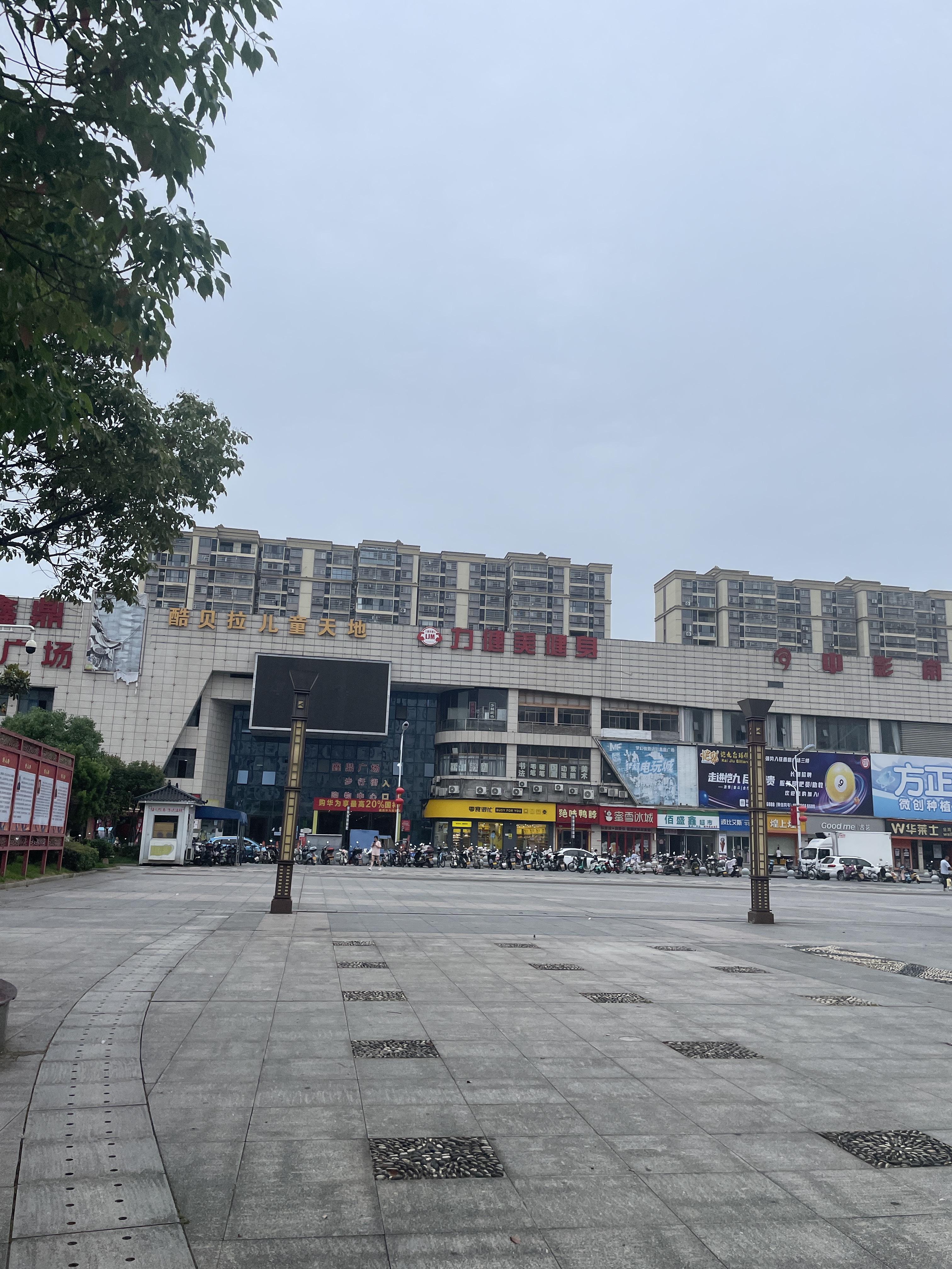 花开一夏 的想法: 广场的树们