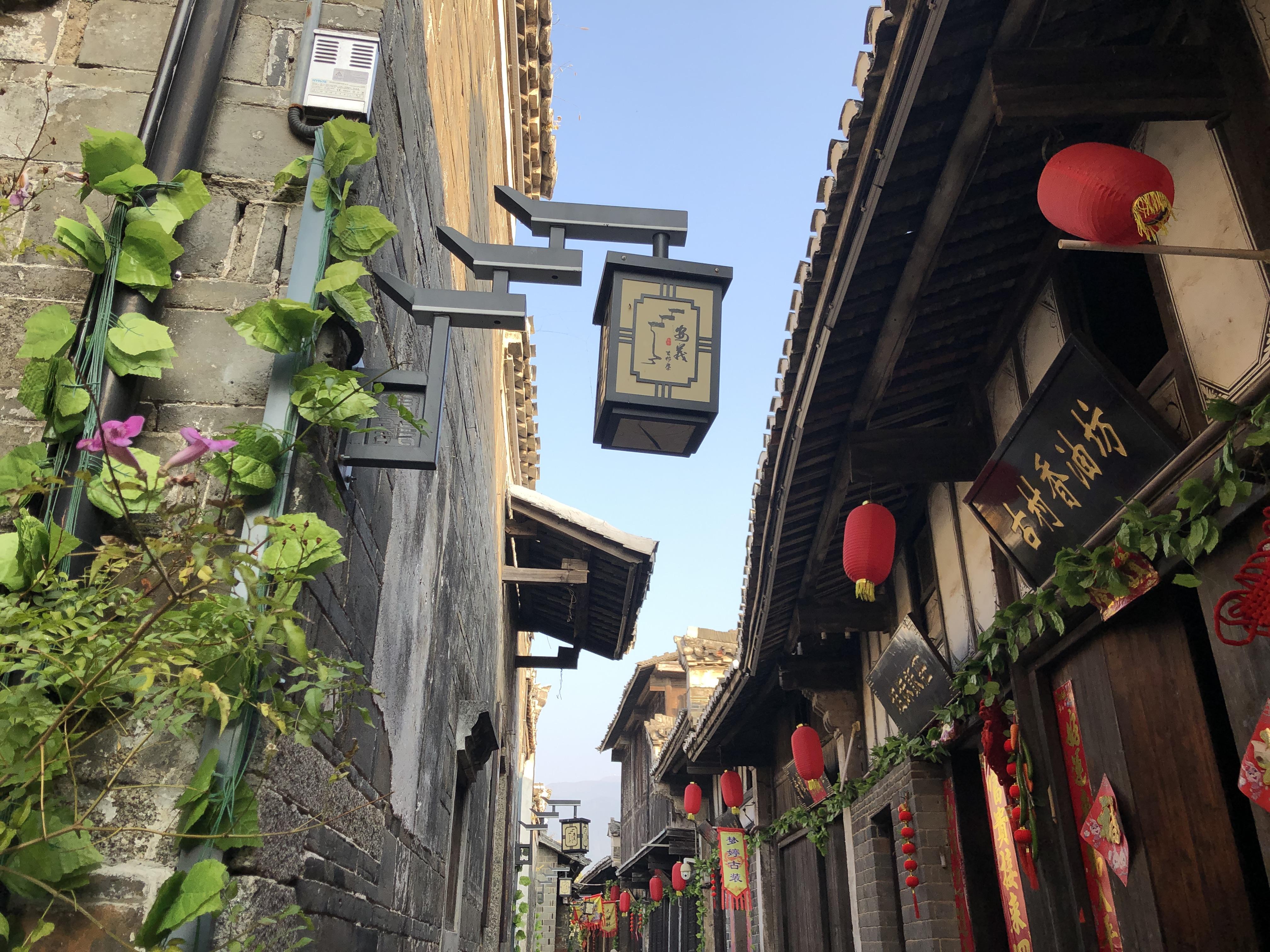 记录生活新的一年愿你我如阳光般明媚如微风般自由保