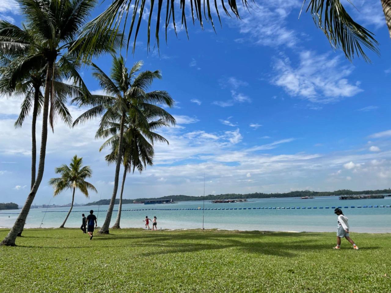 新加坡这里的海滩细菌超标禁止游泳竟又被关闭啦上一次整整关闭了3年