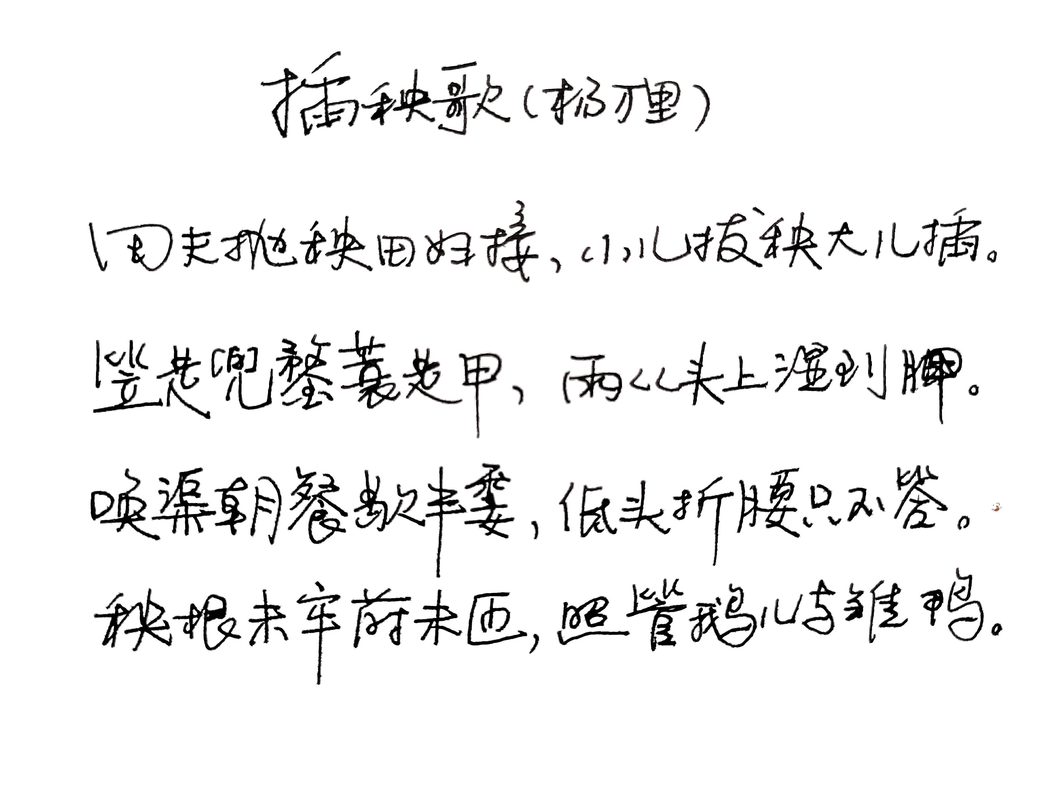 插田歌 知乎