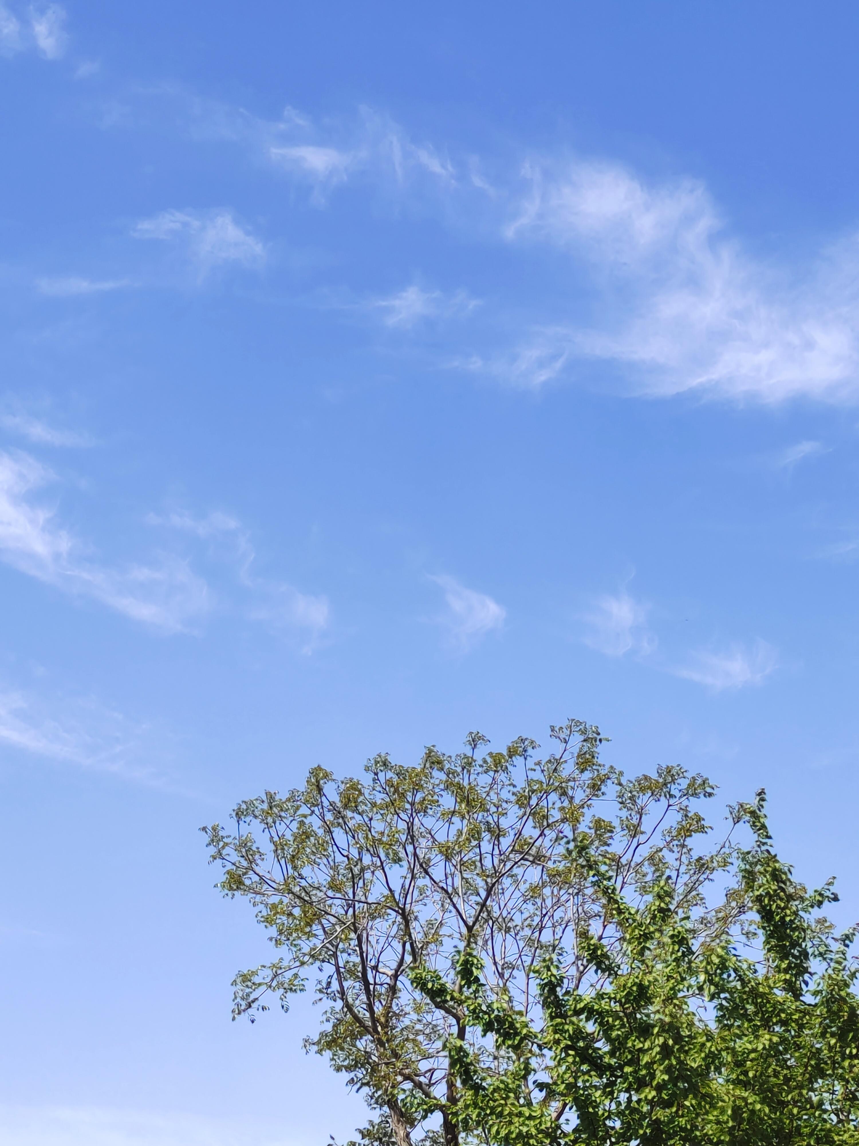 没有方向目标的我 的想法: 在蔚蓝色天空下的生活