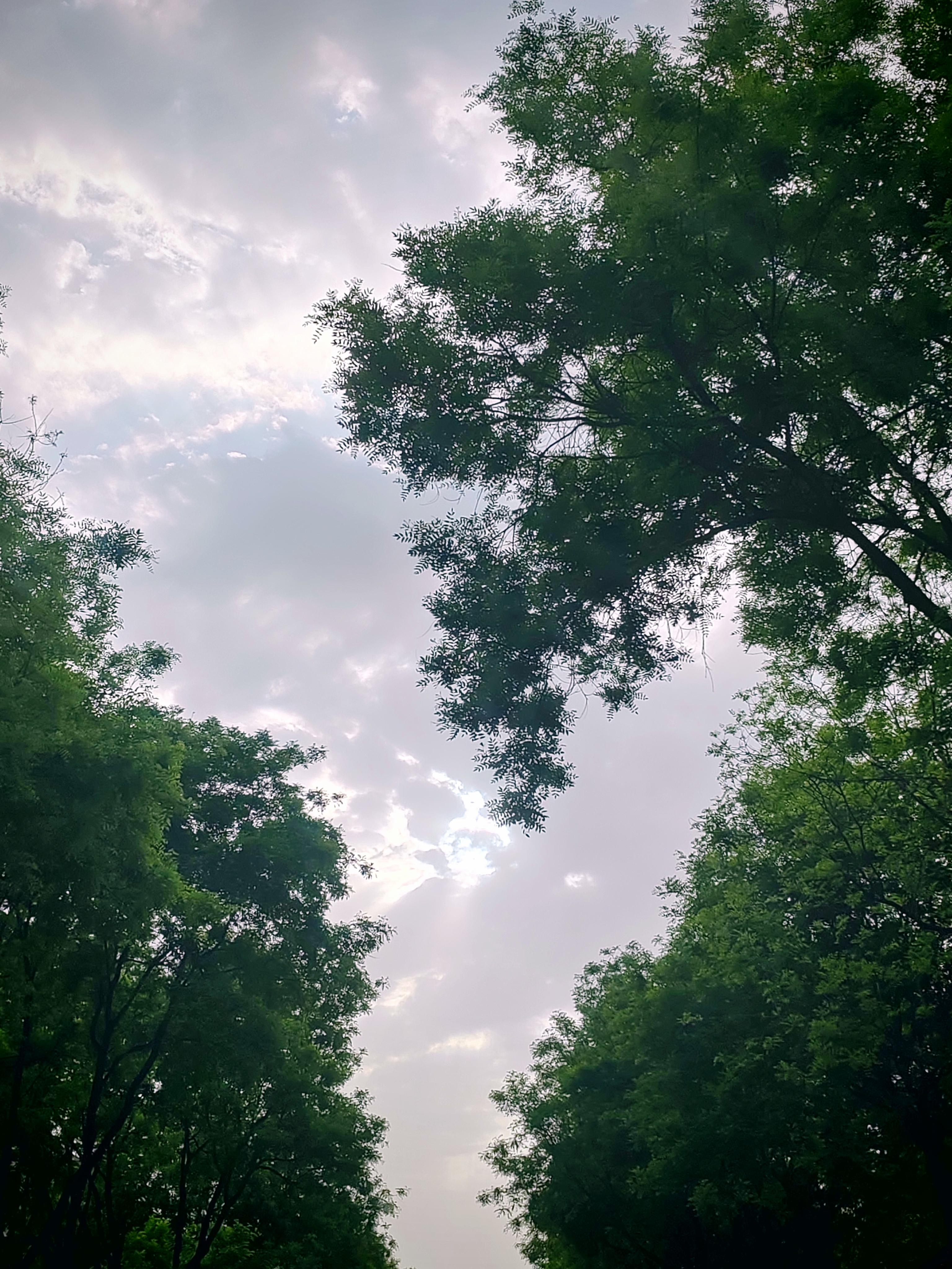 人生路漫漫,何时风云起,何时阻碍现,全都未可知.