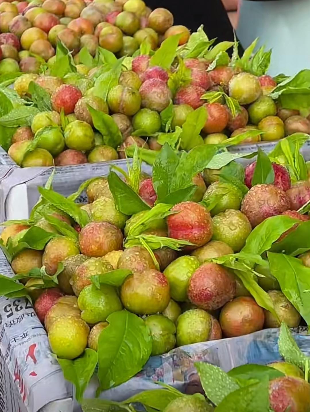 杨柳 的想法: 可爱的夹李子 | 李子上市啦! br>你会拍李子吗?