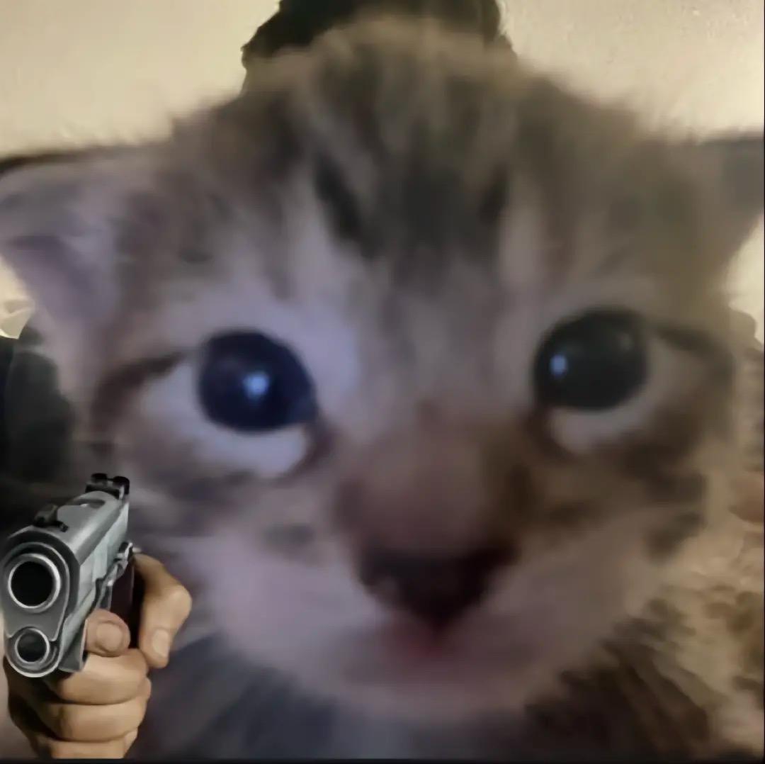 你是我的谁 的想法: 求一个类似这个的猫猫贴脸图片表情包 不过背景是