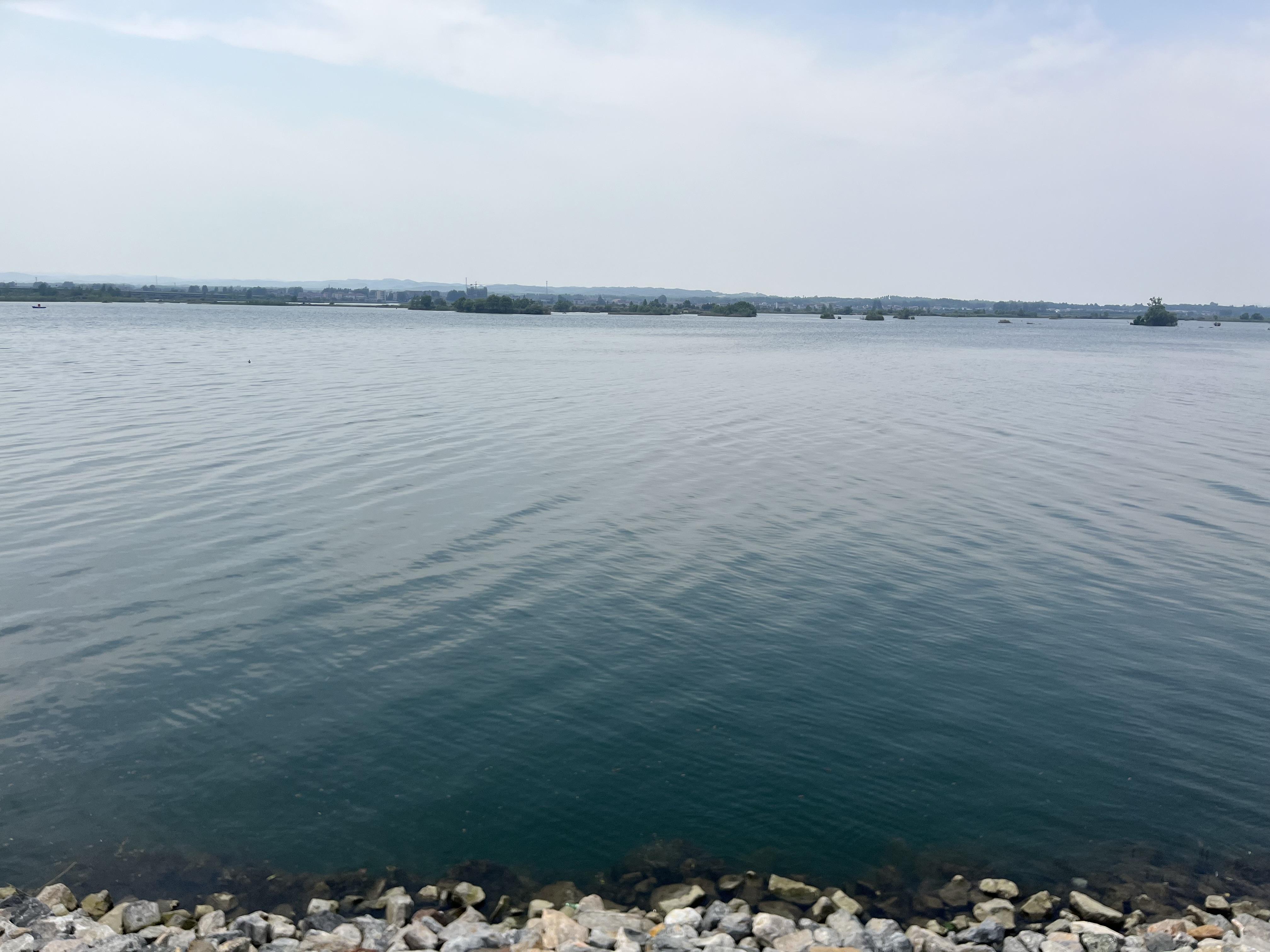 学数相伴 的想法: 开张第一天 | 放弃了年薪百万,做起了小生意,回归