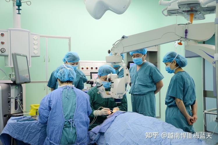 被复旦临床八年制录取了，我应该争取转专业吗？
