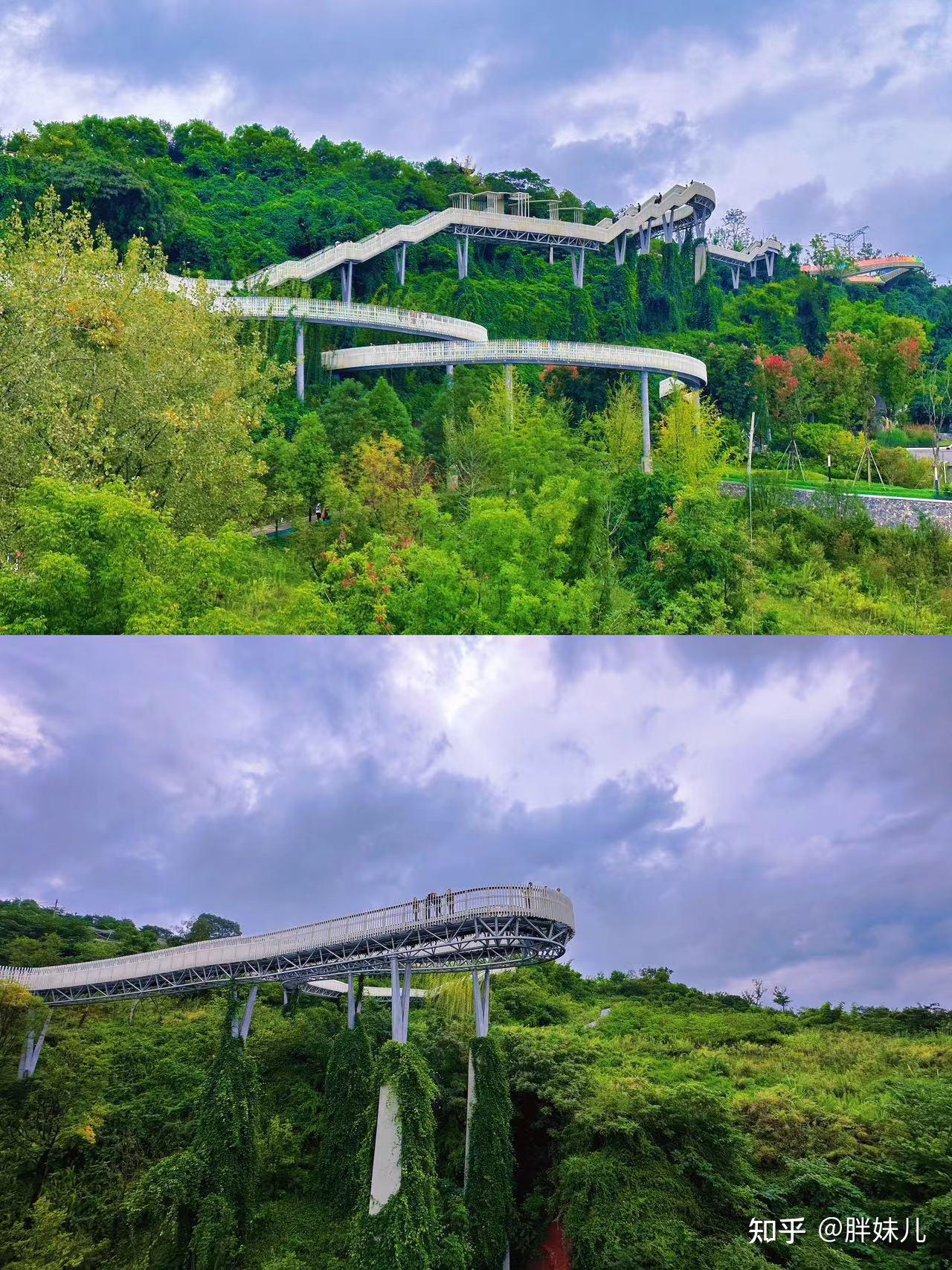 胖妹儿 的想法: 成都又一网红打卡地开放 | 双流合江龙泉山城市森林