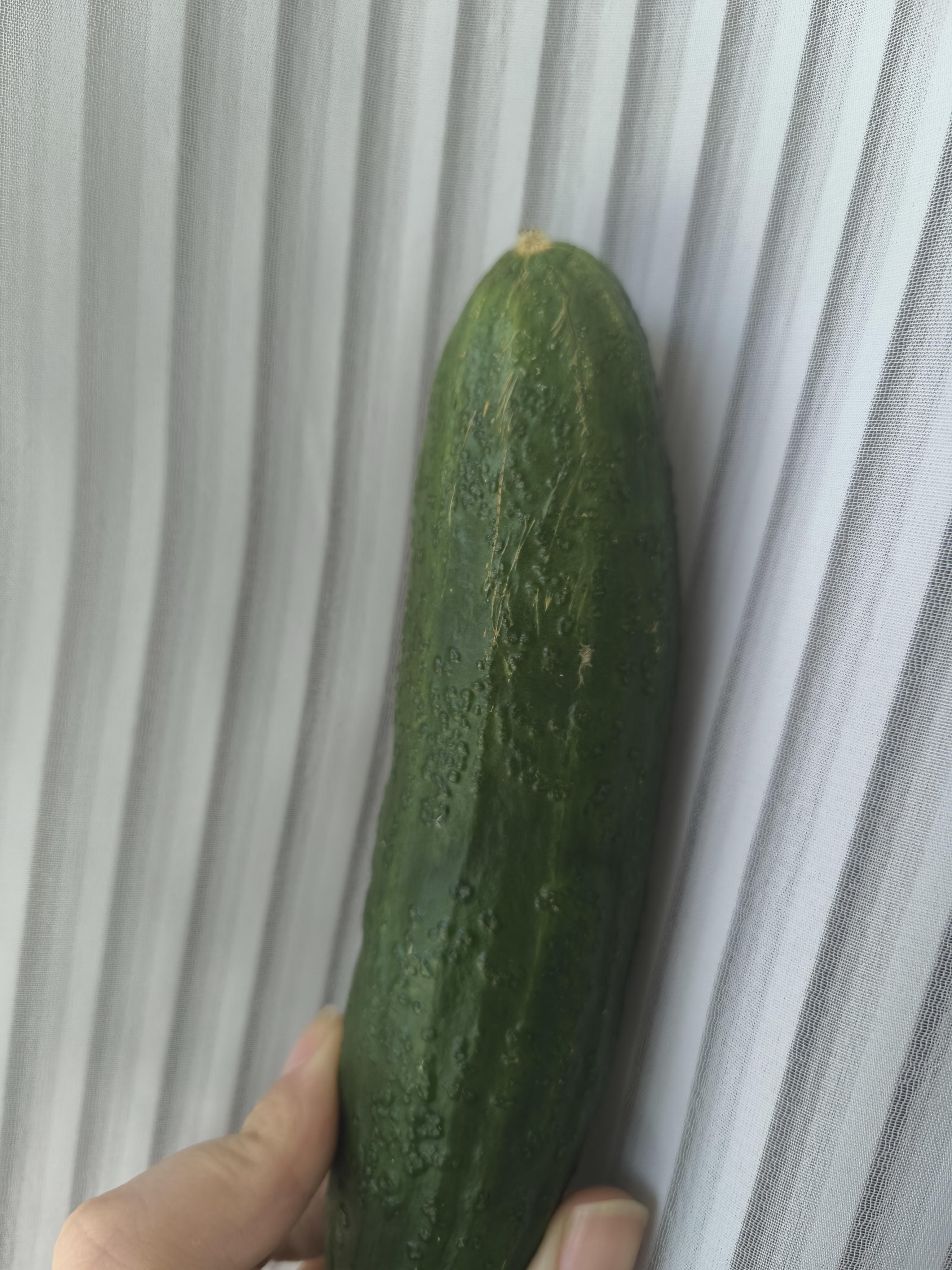 我买的水果黄瓜06凸出来很多痘痘斑点上周买的小黄瓜还剩一根今天想