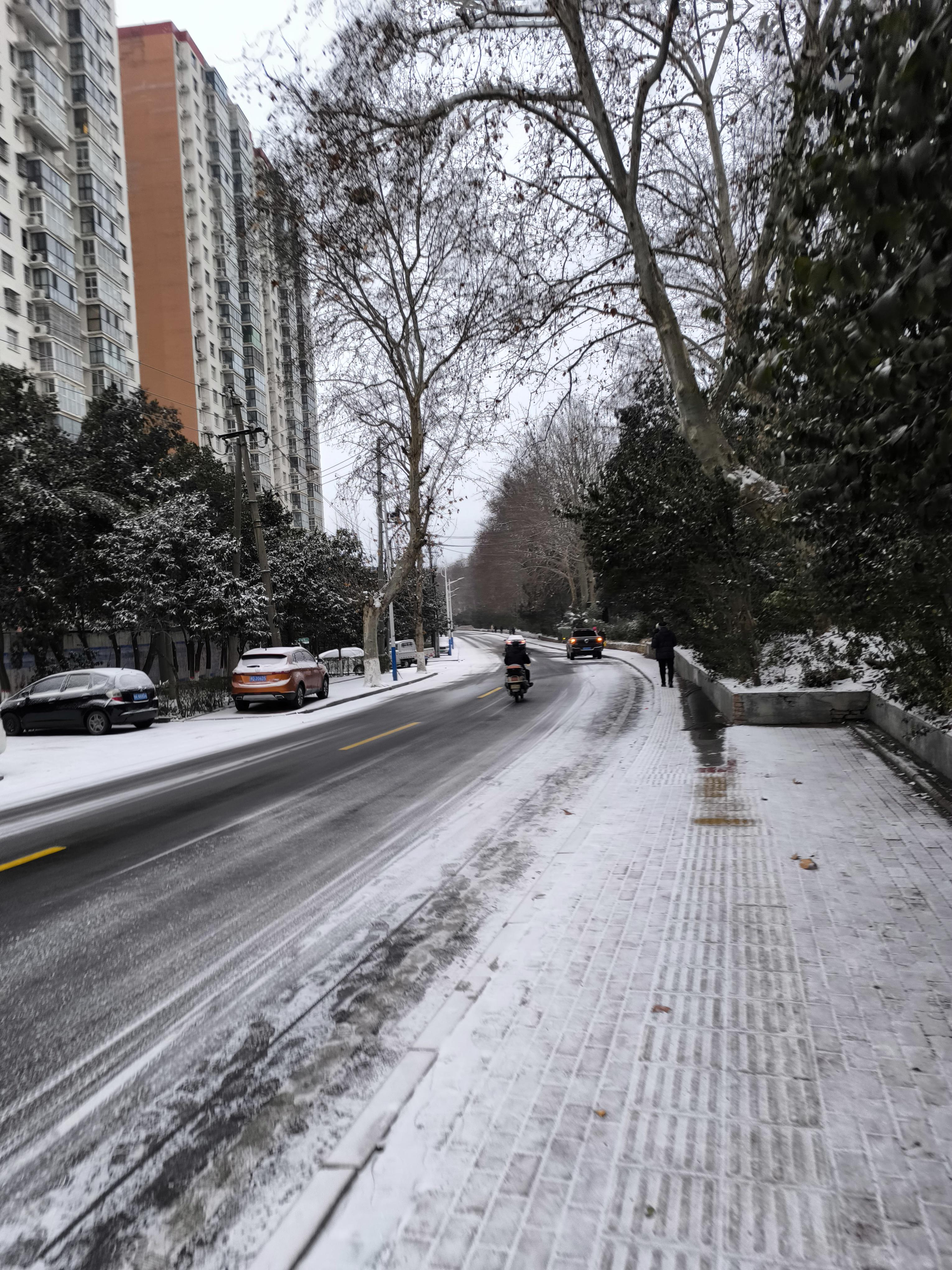 下雪 真实 实景图片