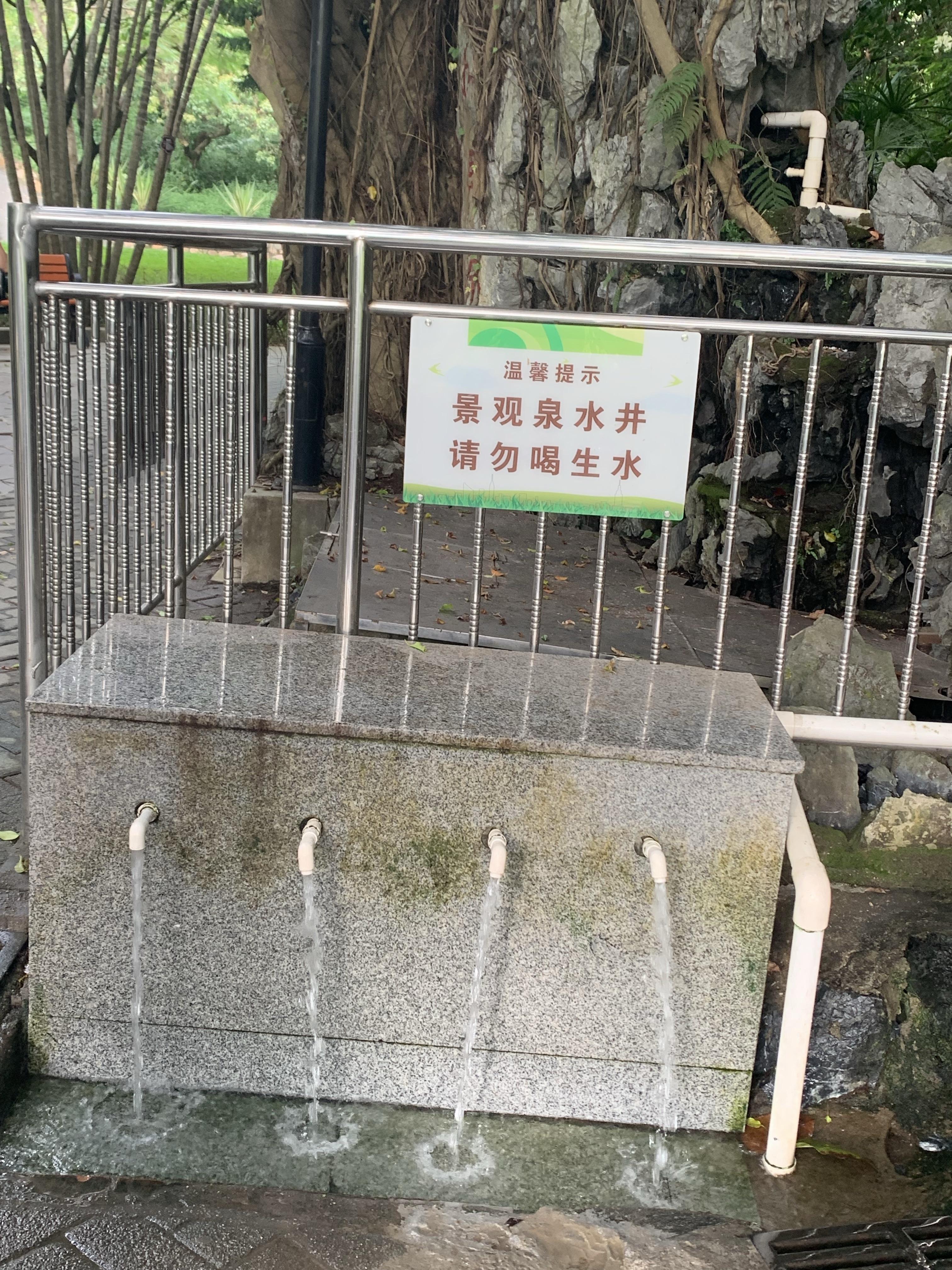 尼克59 的想法: 深圳最早的公园 里面居然有天然涌泉 |  a class="