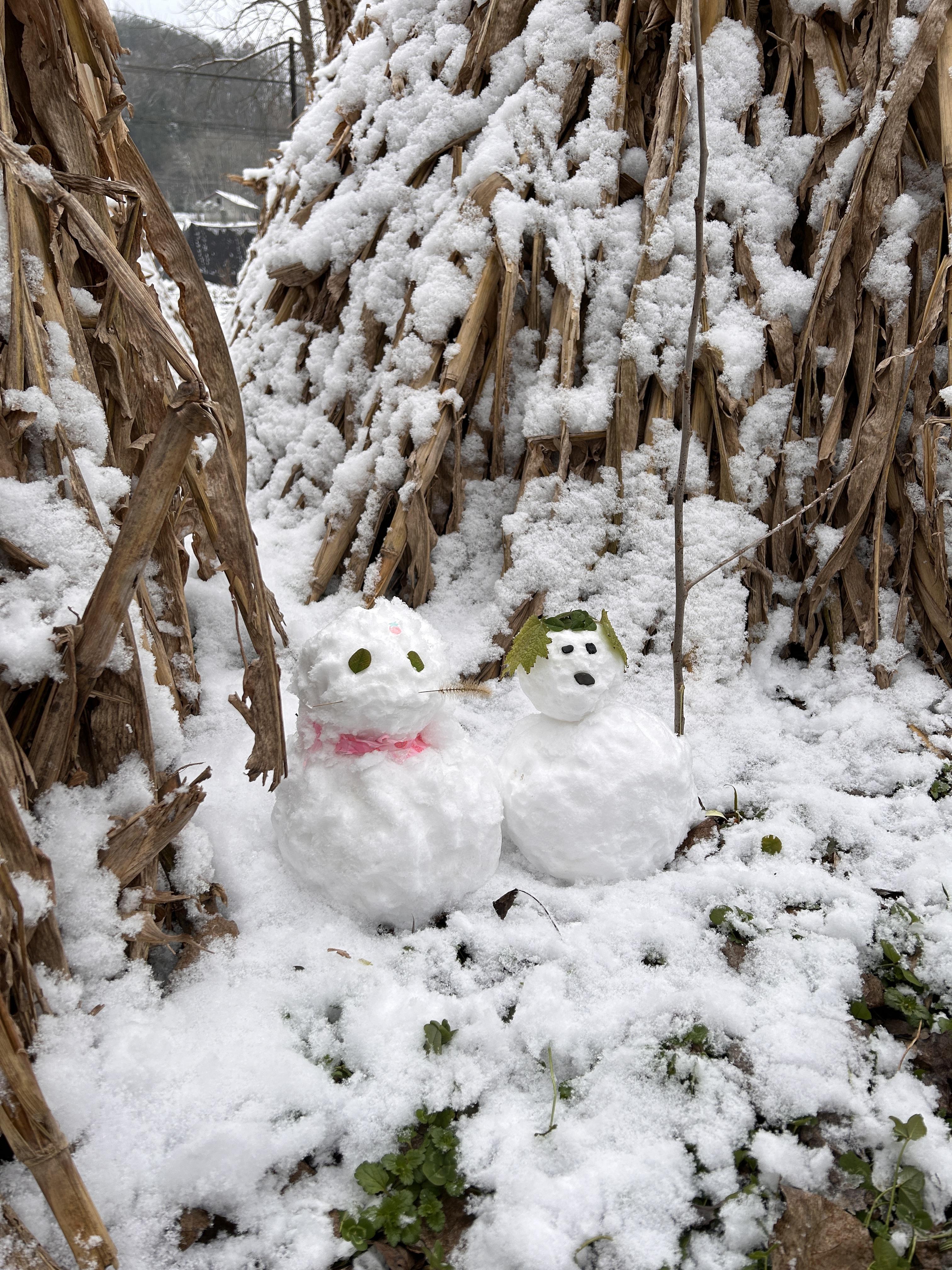 瑞歌 的想法 雪景 难得一见的雪啊,终于飘在了家乡的天空,那飞舞着