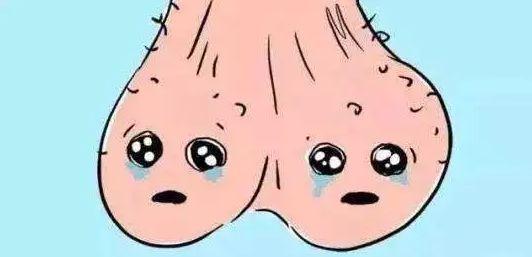 程开祥 的想法: 丁丁勃起之后爆起的青筋是精索静脉曲张吗?