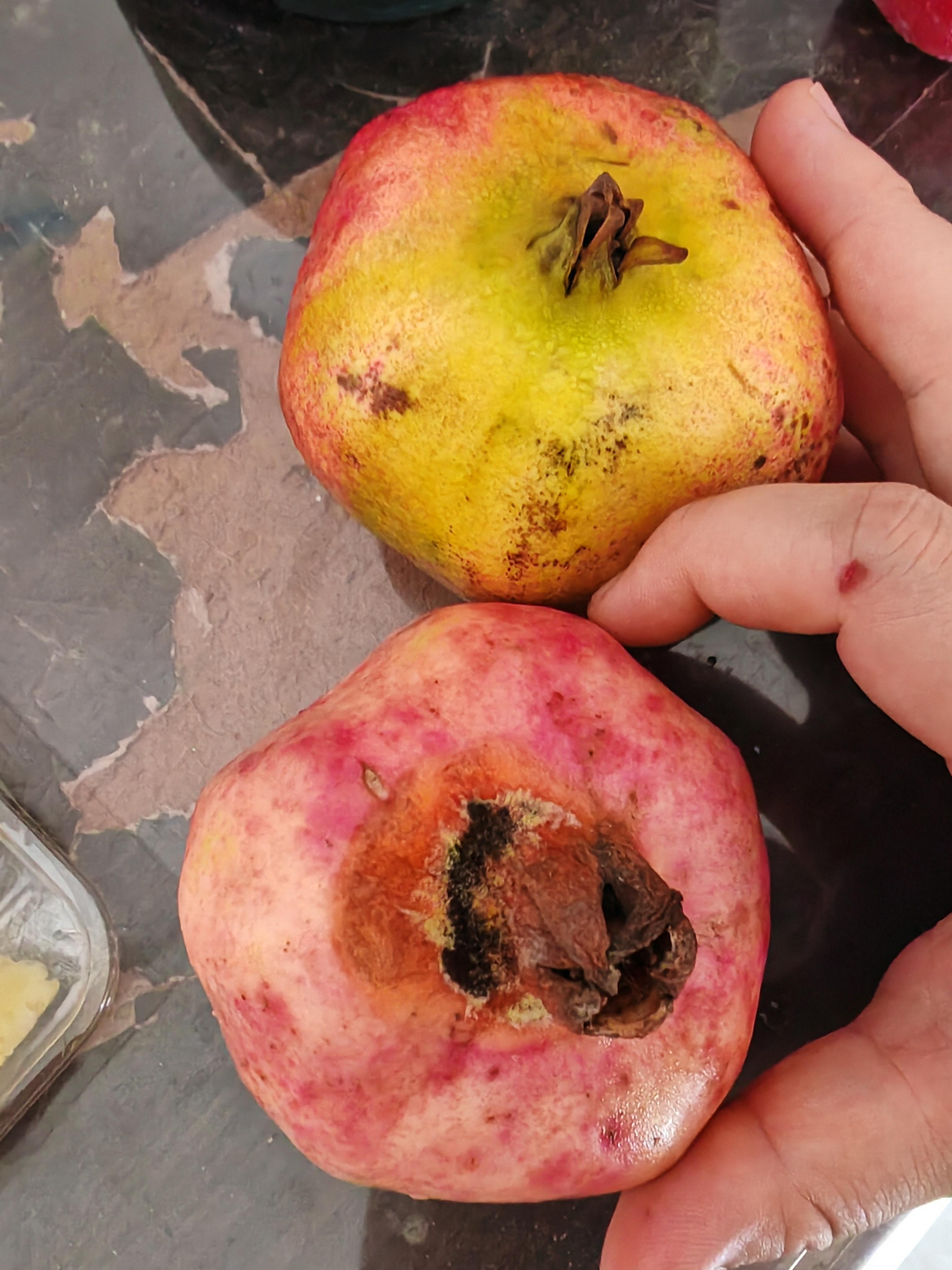 如标题 图二是前天在我儿子学校摘的石榴 原生态 不打药 放两天就