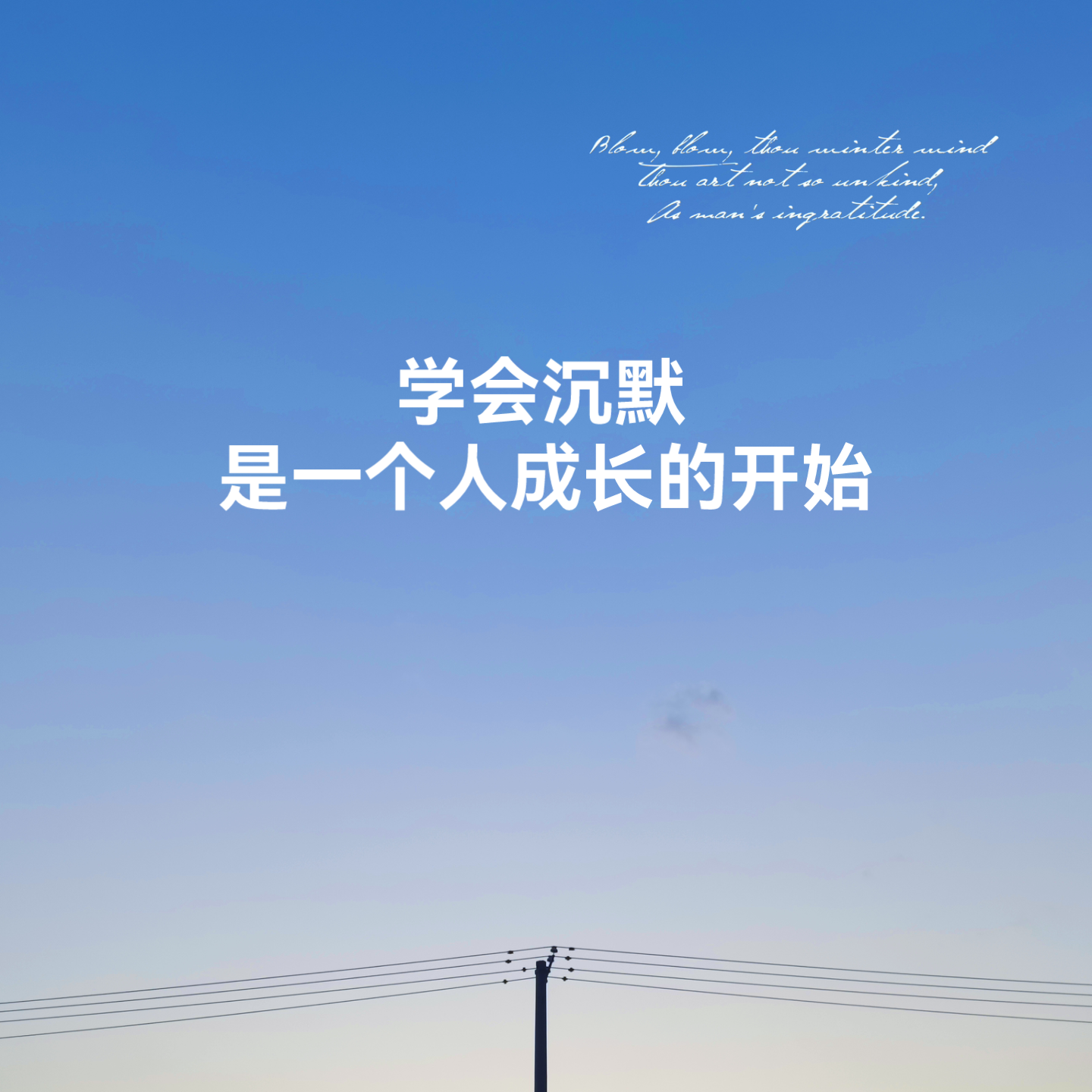 喵姐成长日记 的想法: 学会沉默,是一个人成长的开始 | 《杨绛传》这