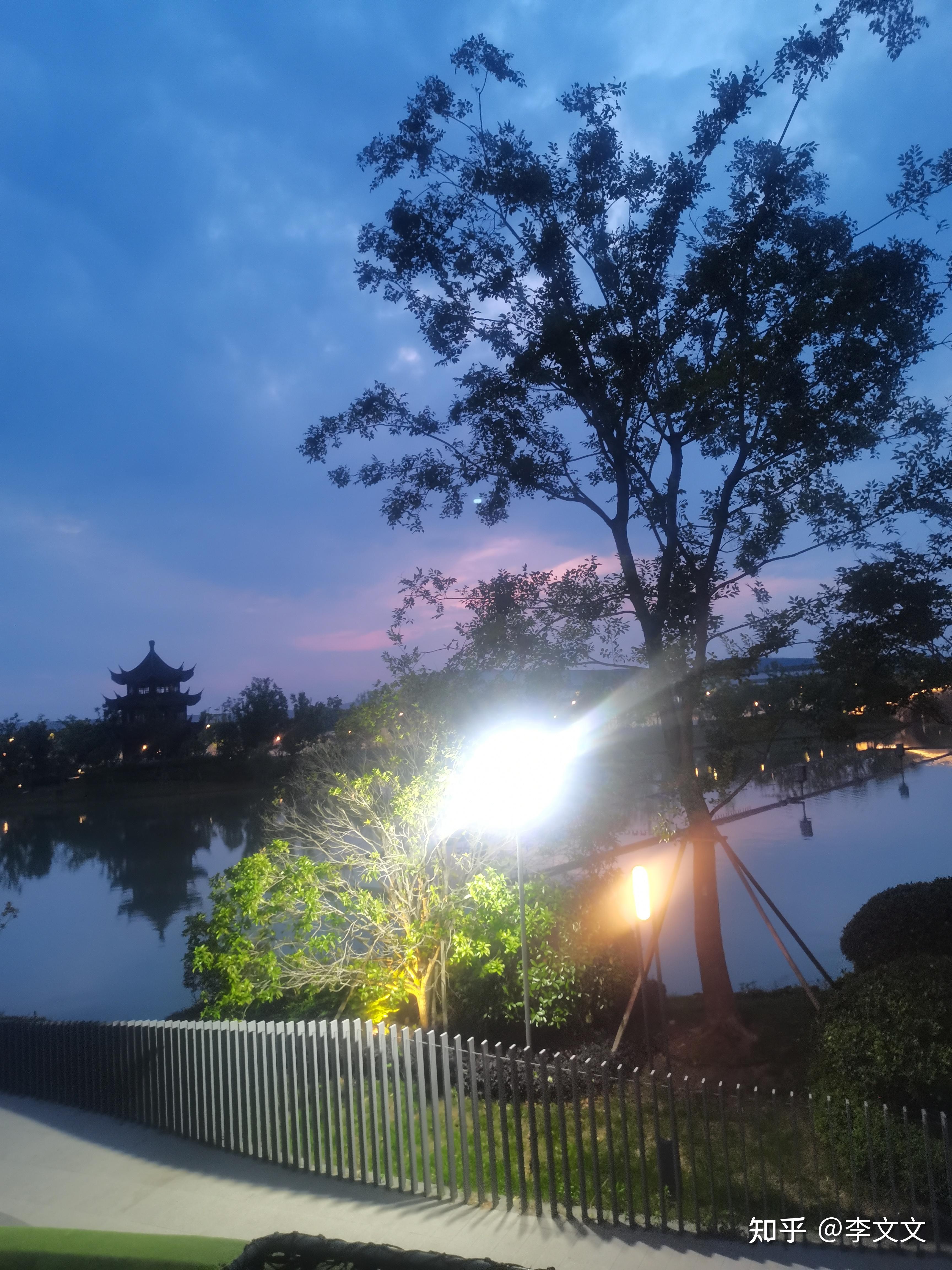 阅读全文67#我的摄影日记世上的美丽千千万万,我们都要有一双发现美