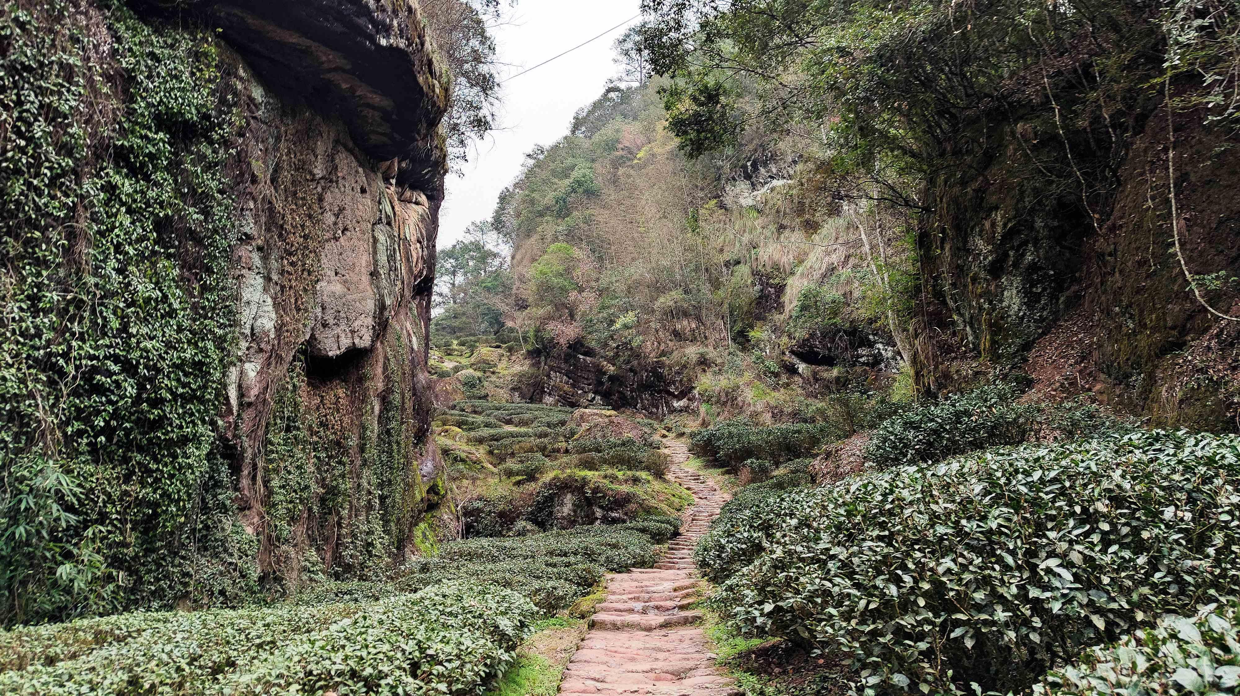 水玉扬观世界 的想法: 武夷山白云禅寺,它沿伴山绝壁而建 