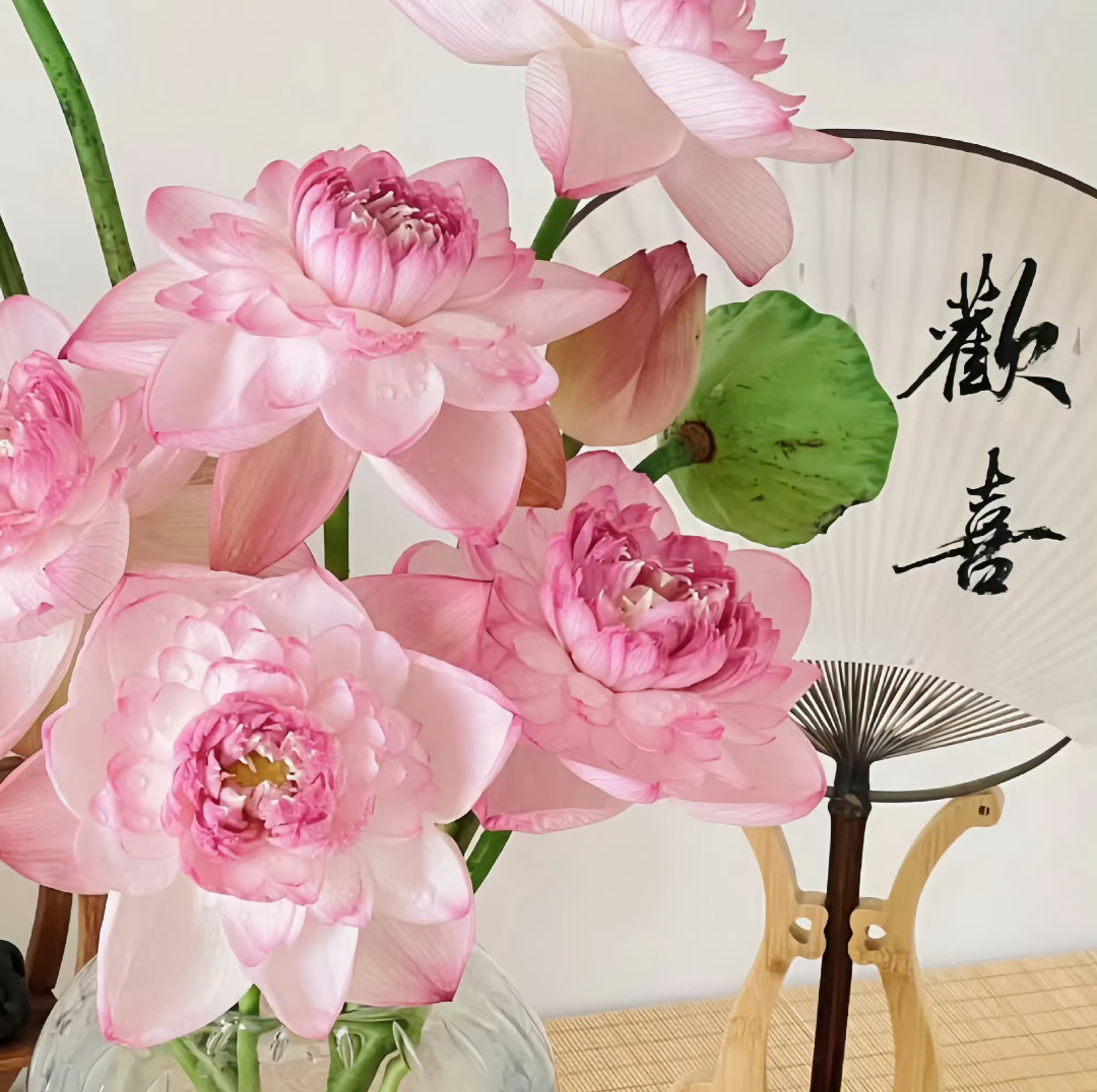 乐人 的想法: 到那个时候,我又可以出发了