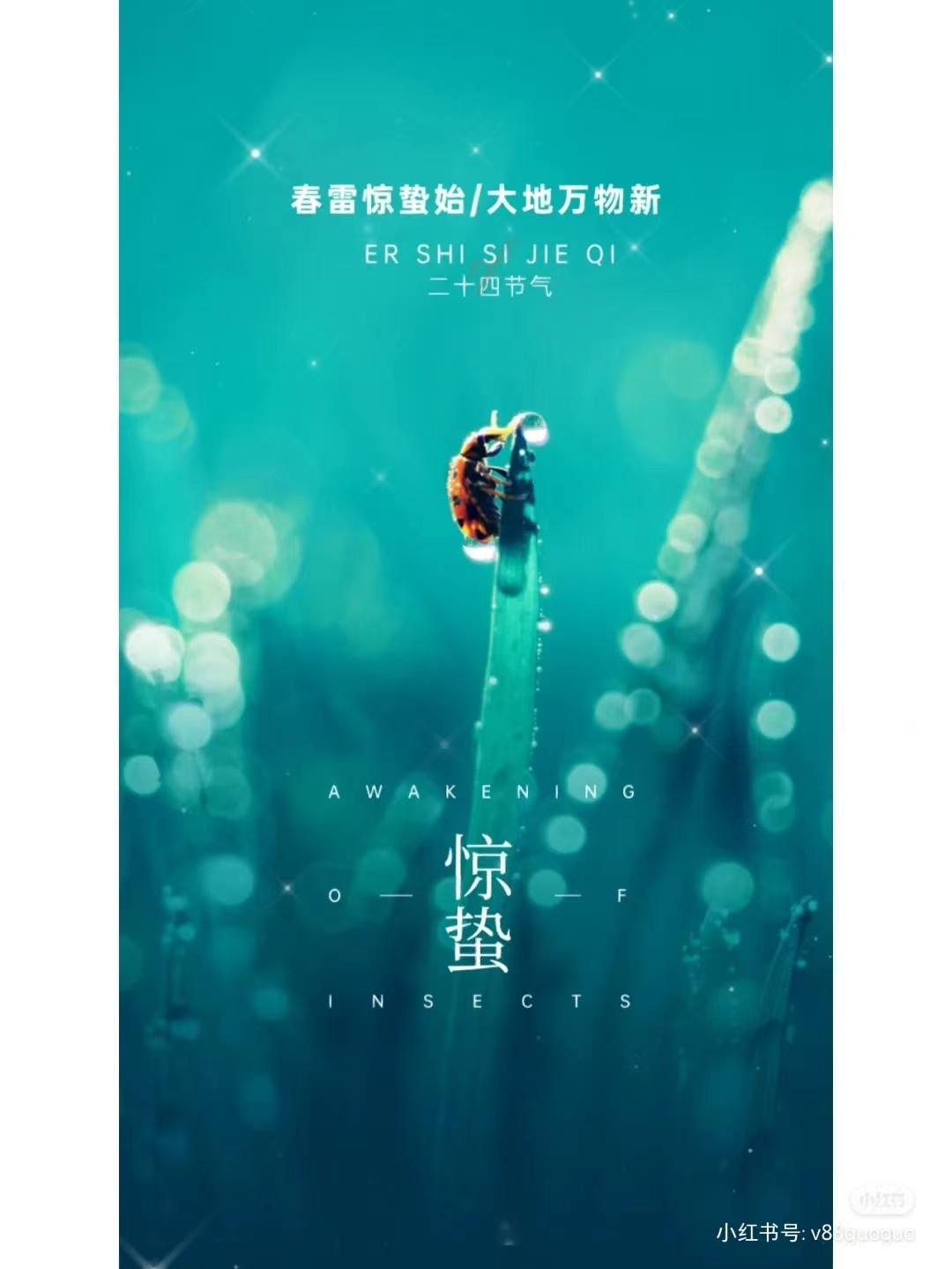 的想法: 惊蛰 二十四节气 春雷惊蛰始 大地万物新 | 惊蛰 br>(左河水)