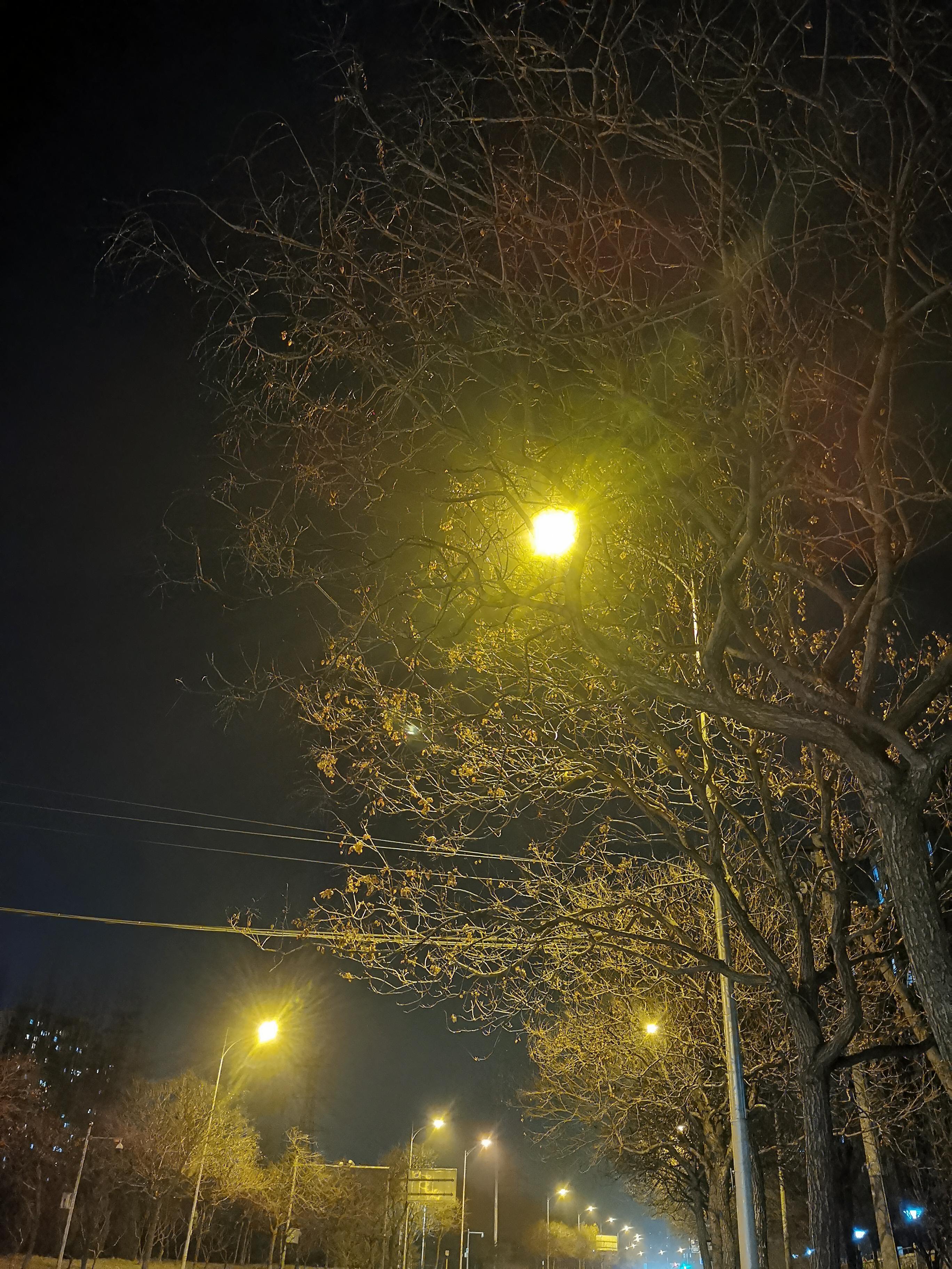 小巷夜景 灯光图片