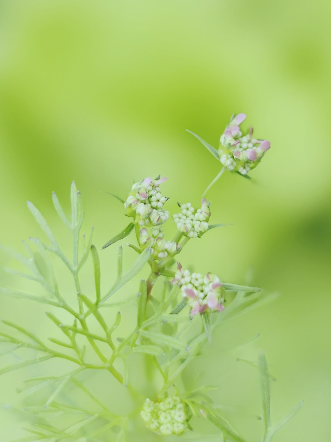 1404_1873竖版 竖屏gif 动态图 动图