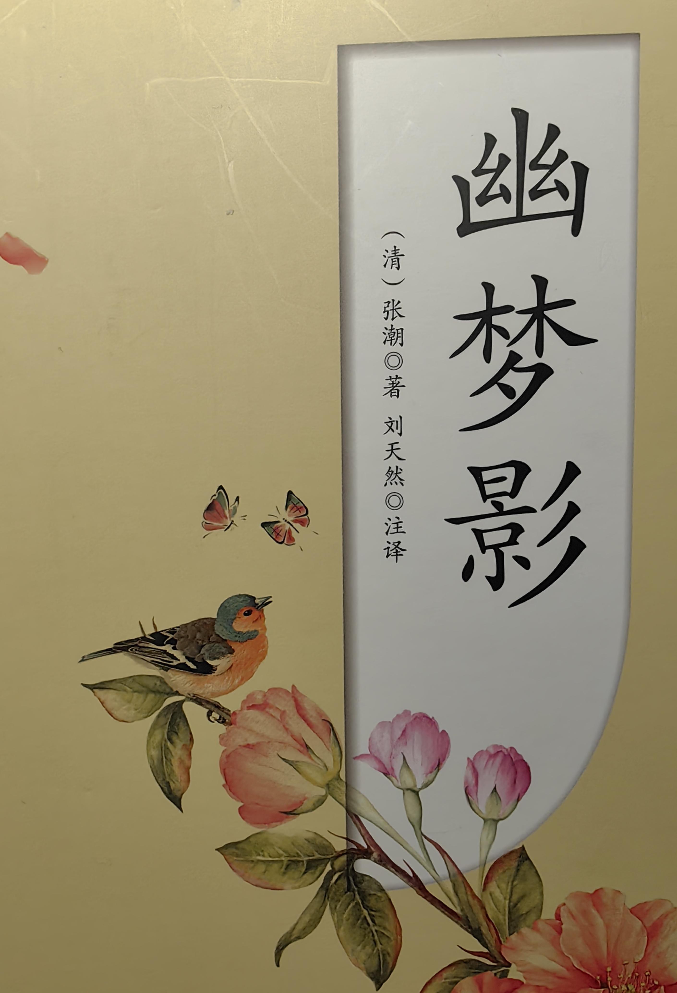 清张潮简介