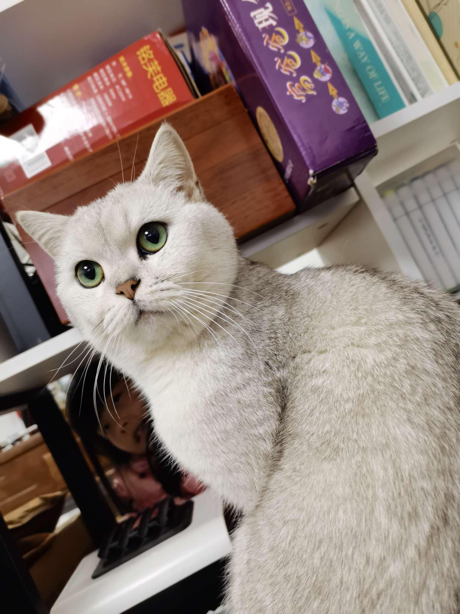 丹姐 的想法: 电视剧《传奇大掌柜》里的栾学堂,原本是一个乞丐,但是