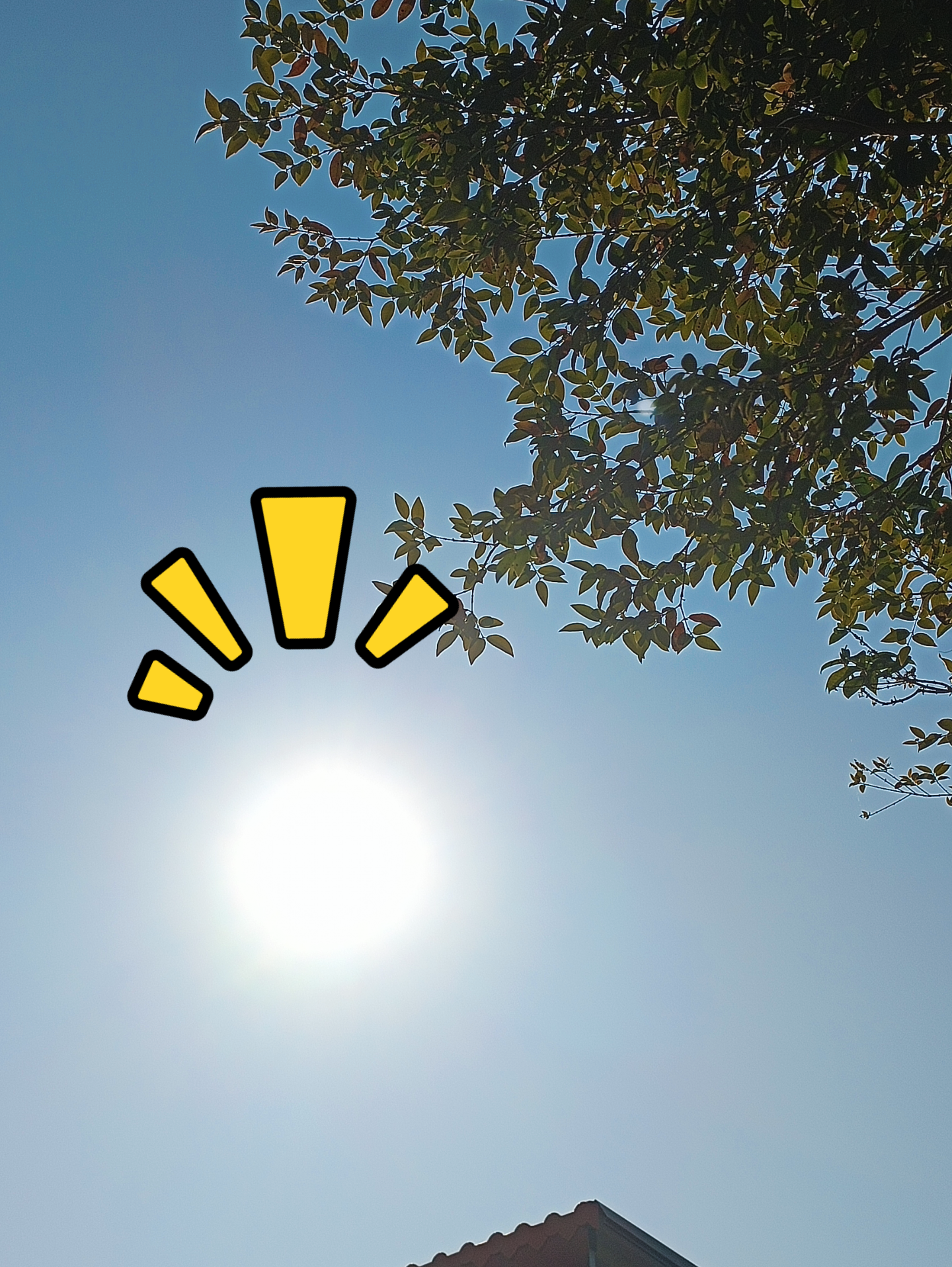 小时候想摘月亮 的想法: 老家的冬日清晨暖阳