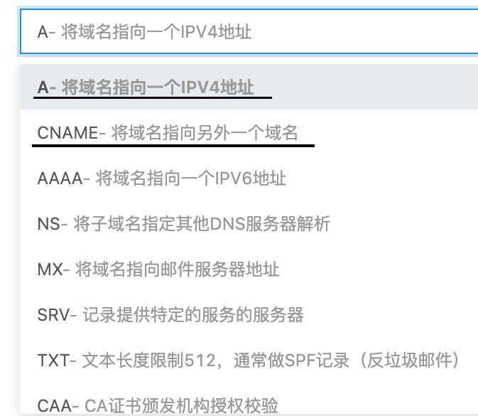 srv记录，SRV记录中文名称