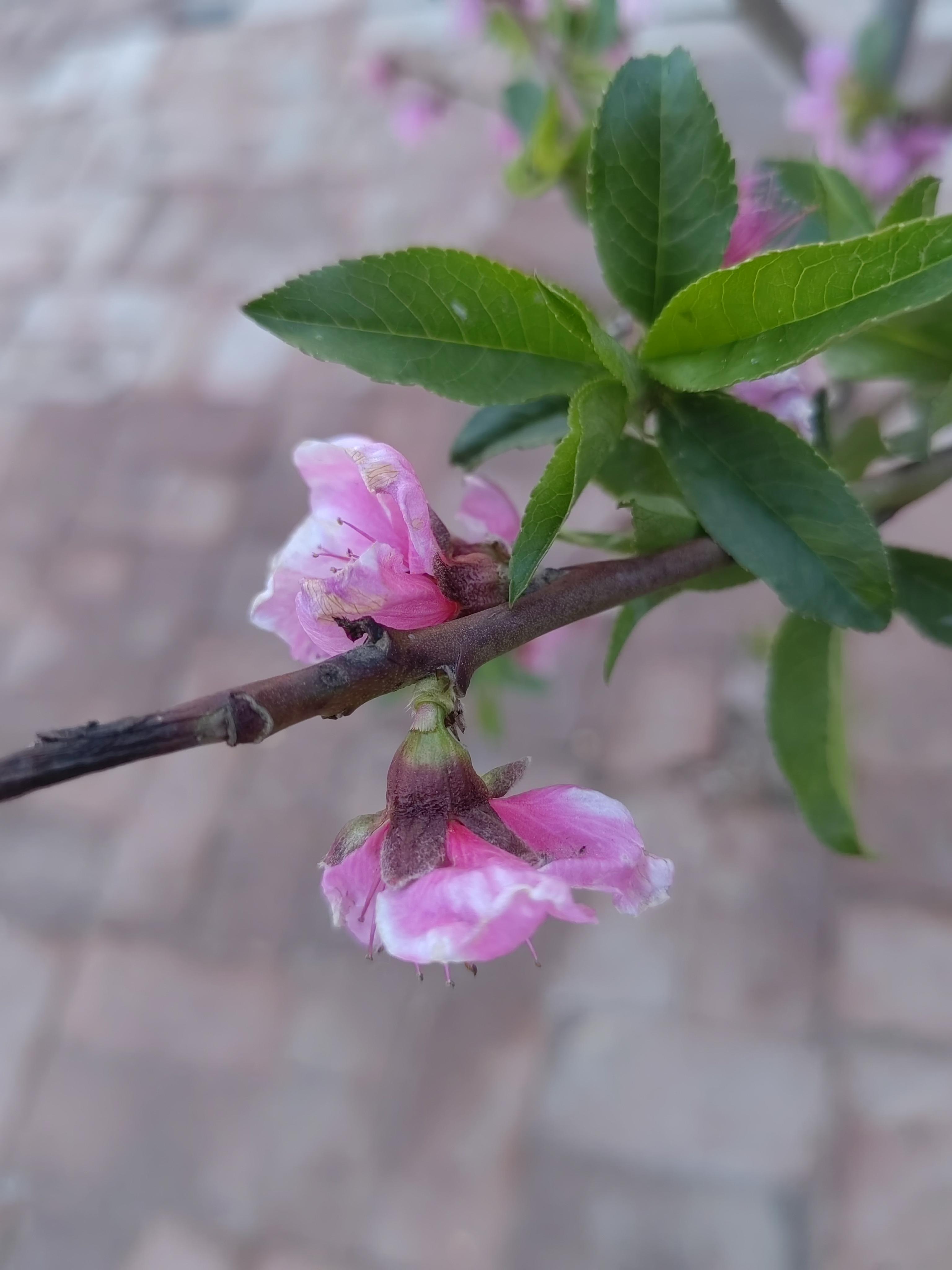 如沐春风 的想法: 在学校就好好学习!