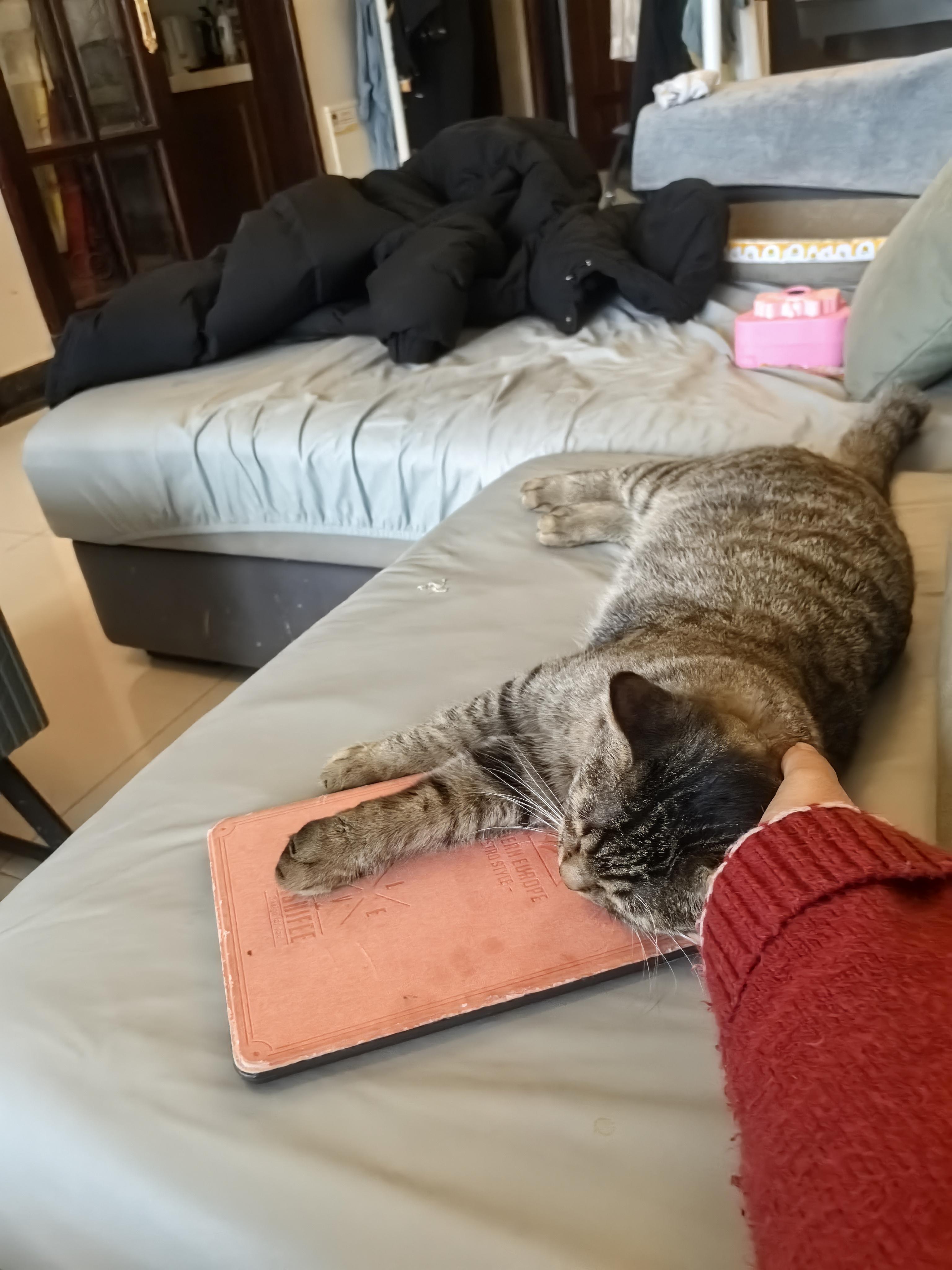 波斯小猫爪 的想法: 我爱她呀 | 姨姨就是妈妈～ br>我不怕,我知道