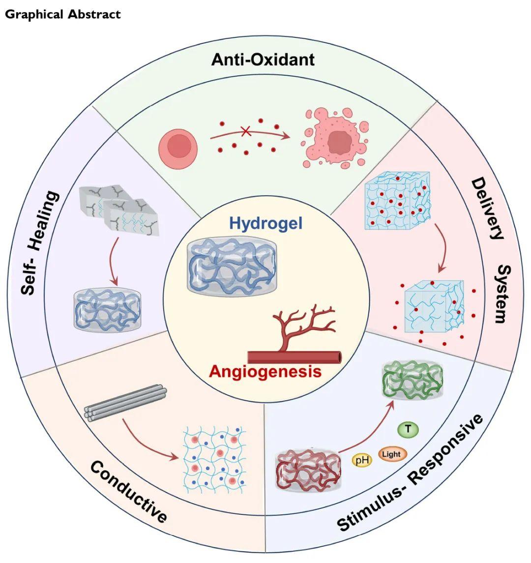 医学期刊internationaljournalofnanomedicine发表了题为多功能水凝胶